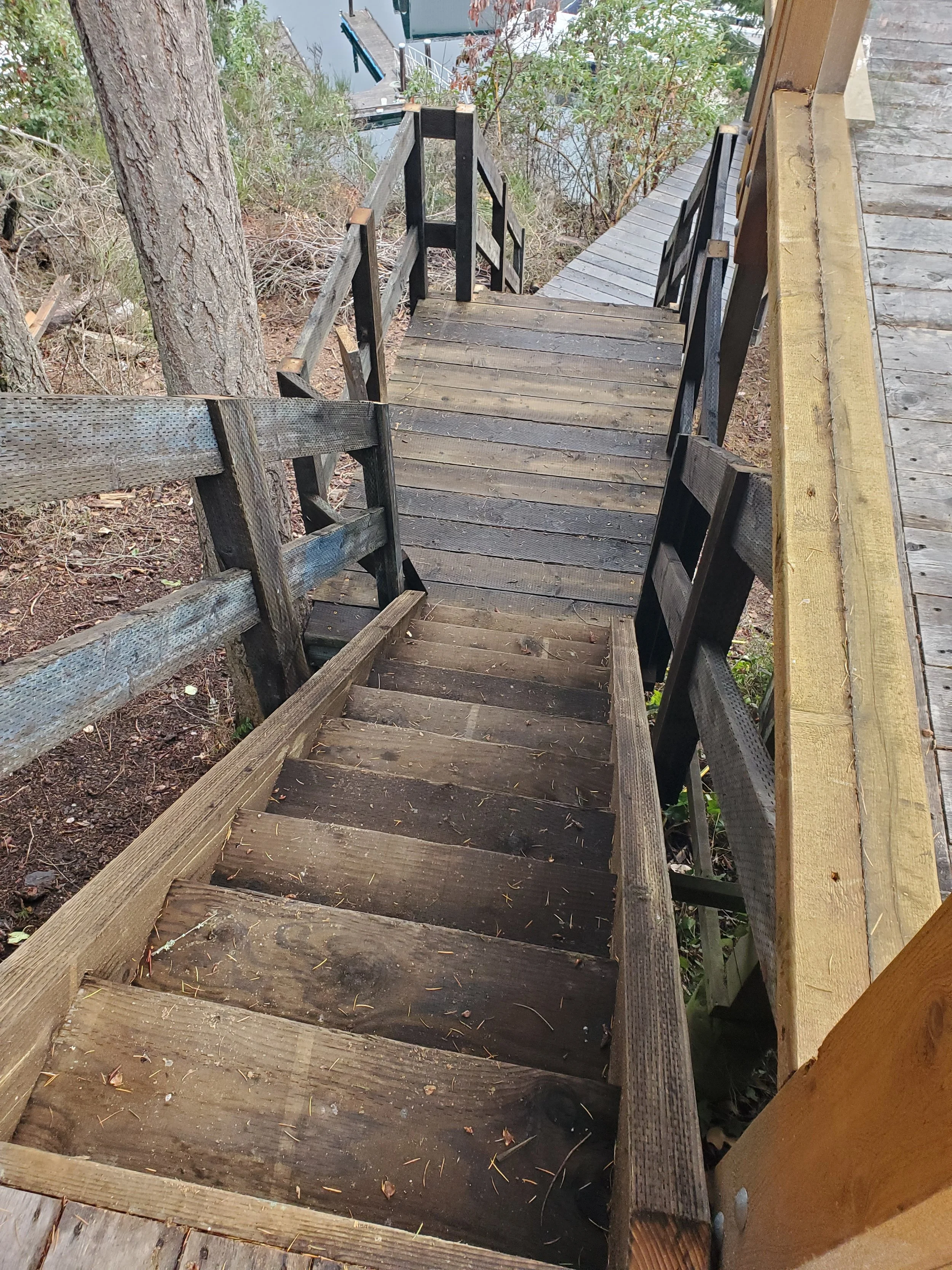 A wooden staircase outdoor, leading down to a body of water, with trees and foliage on either side.