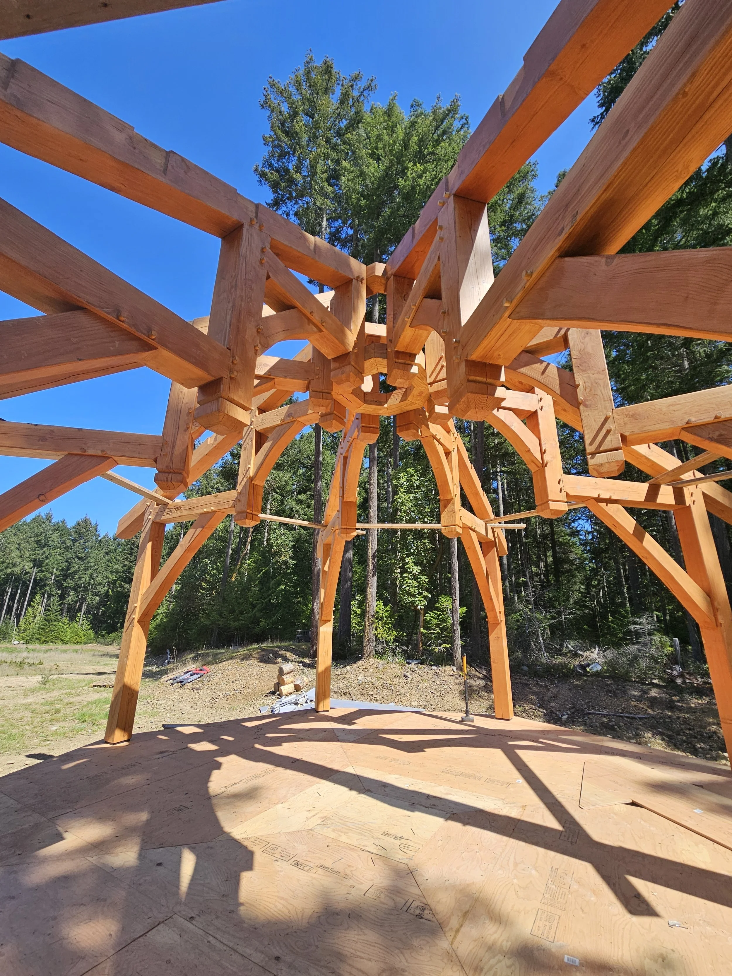 Wooden structure under construction in a forest clearing with trees in the background and a clear blue sky, with plywood sheets on the ground.