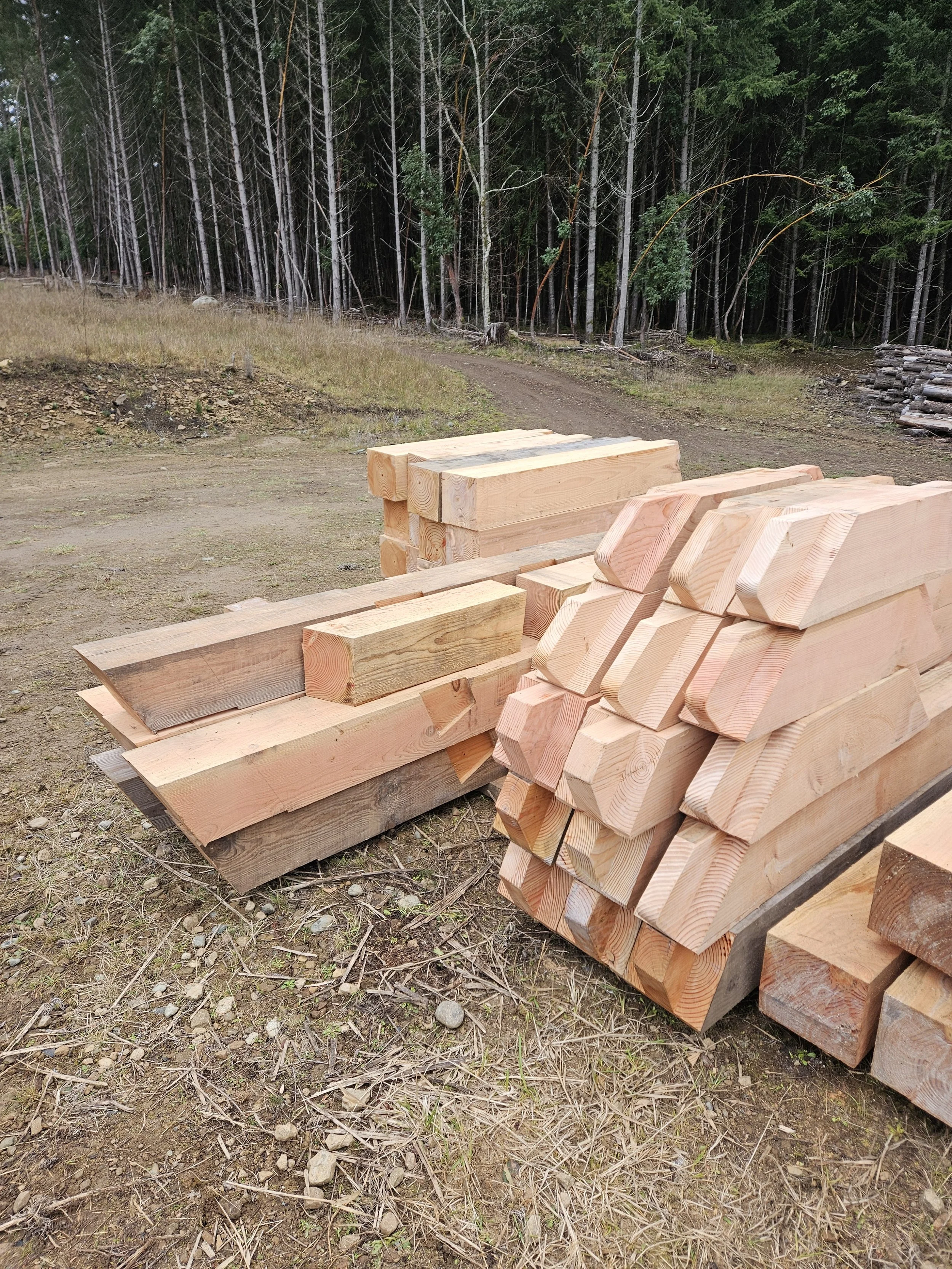 Stacked cut lumber on the ground near a dirt path, with a forest of tall trees in the background.