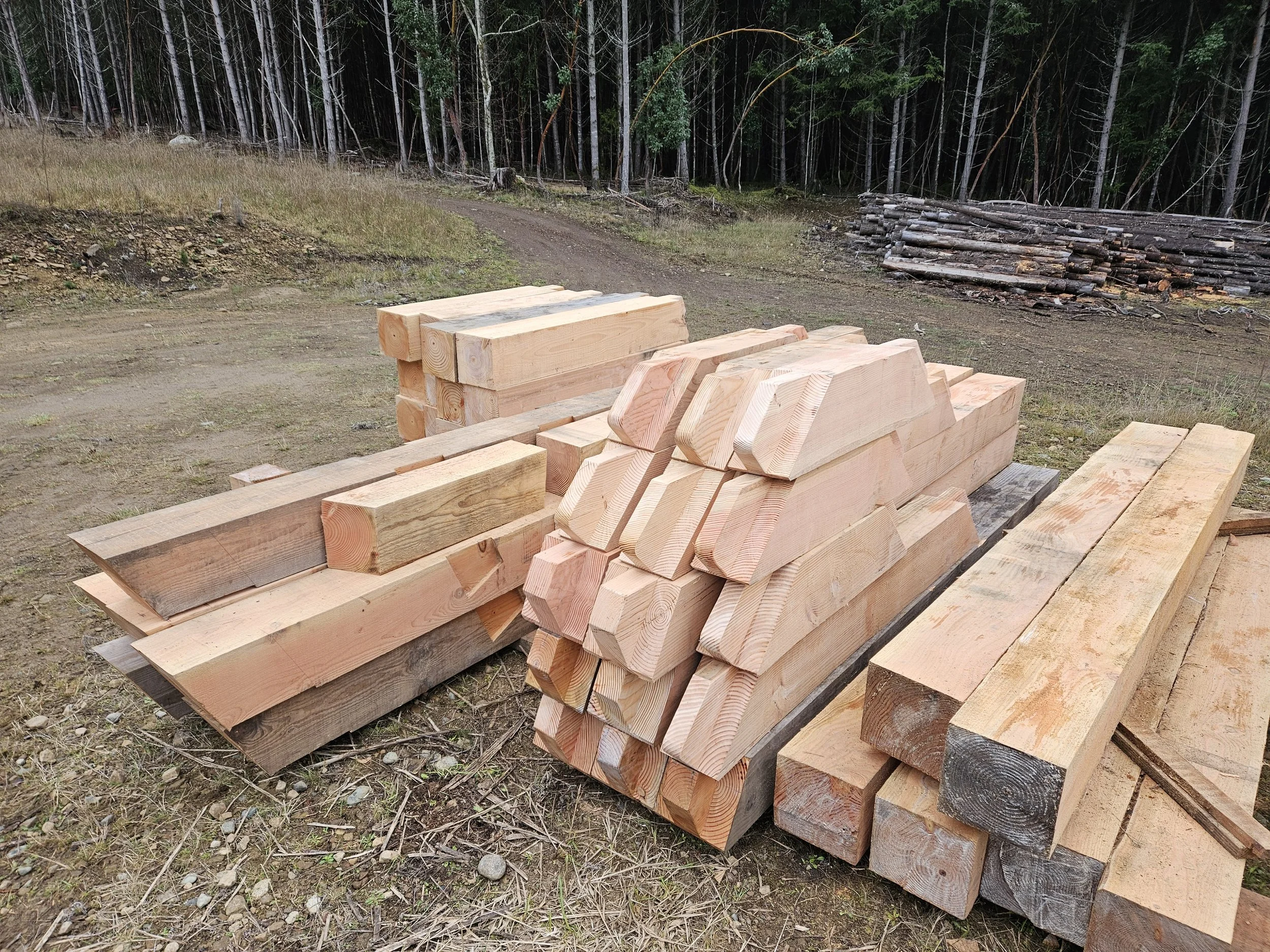 Stacks of cut lumber and logs on a dirt ground near a forested area with tall trees and some chopped wood in the background.