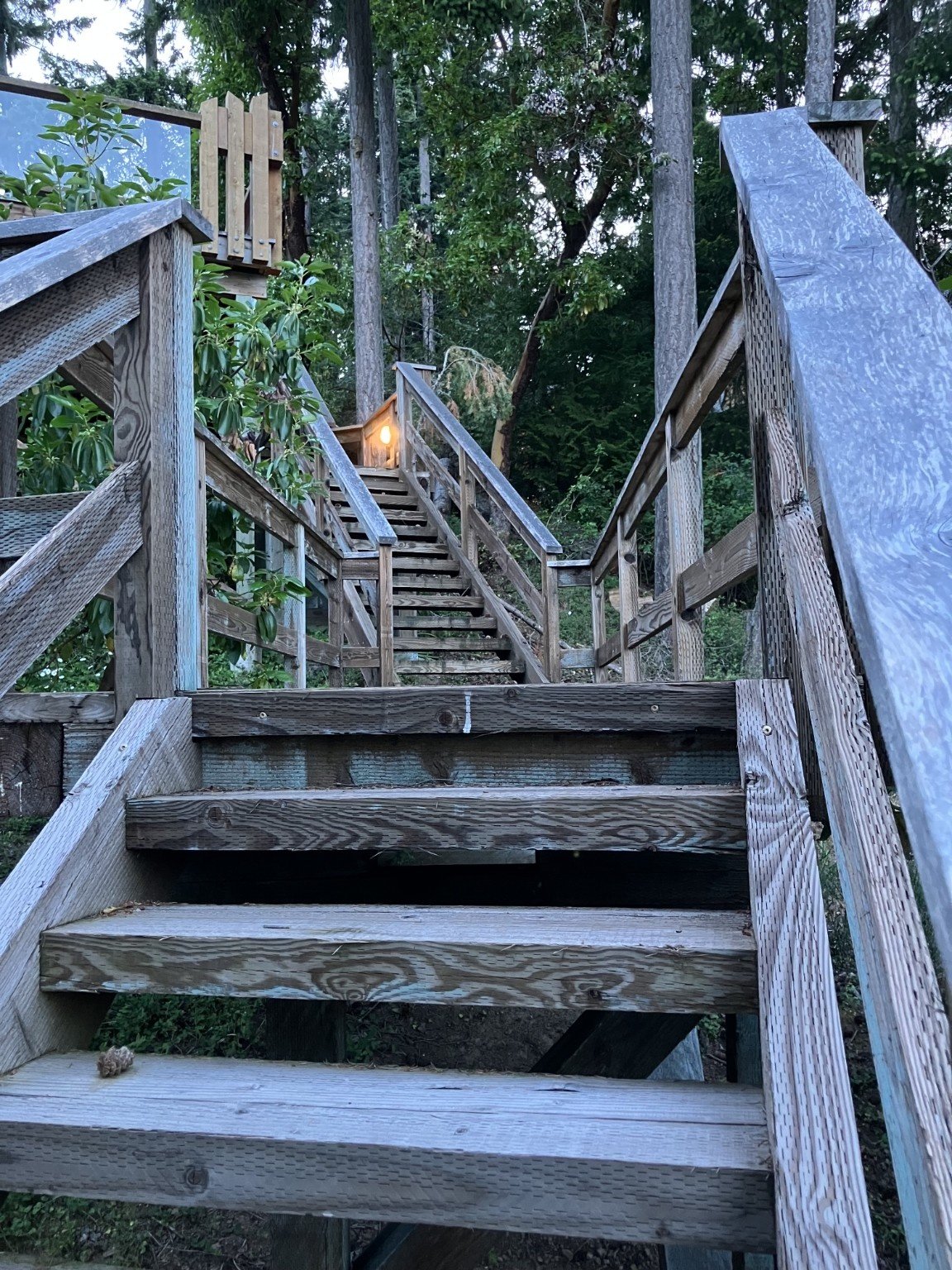 Wooden outdoor staircase leading up to a treehouse, situated in a lush forested area, with a small light glowing at the top near the treehouse entrance.