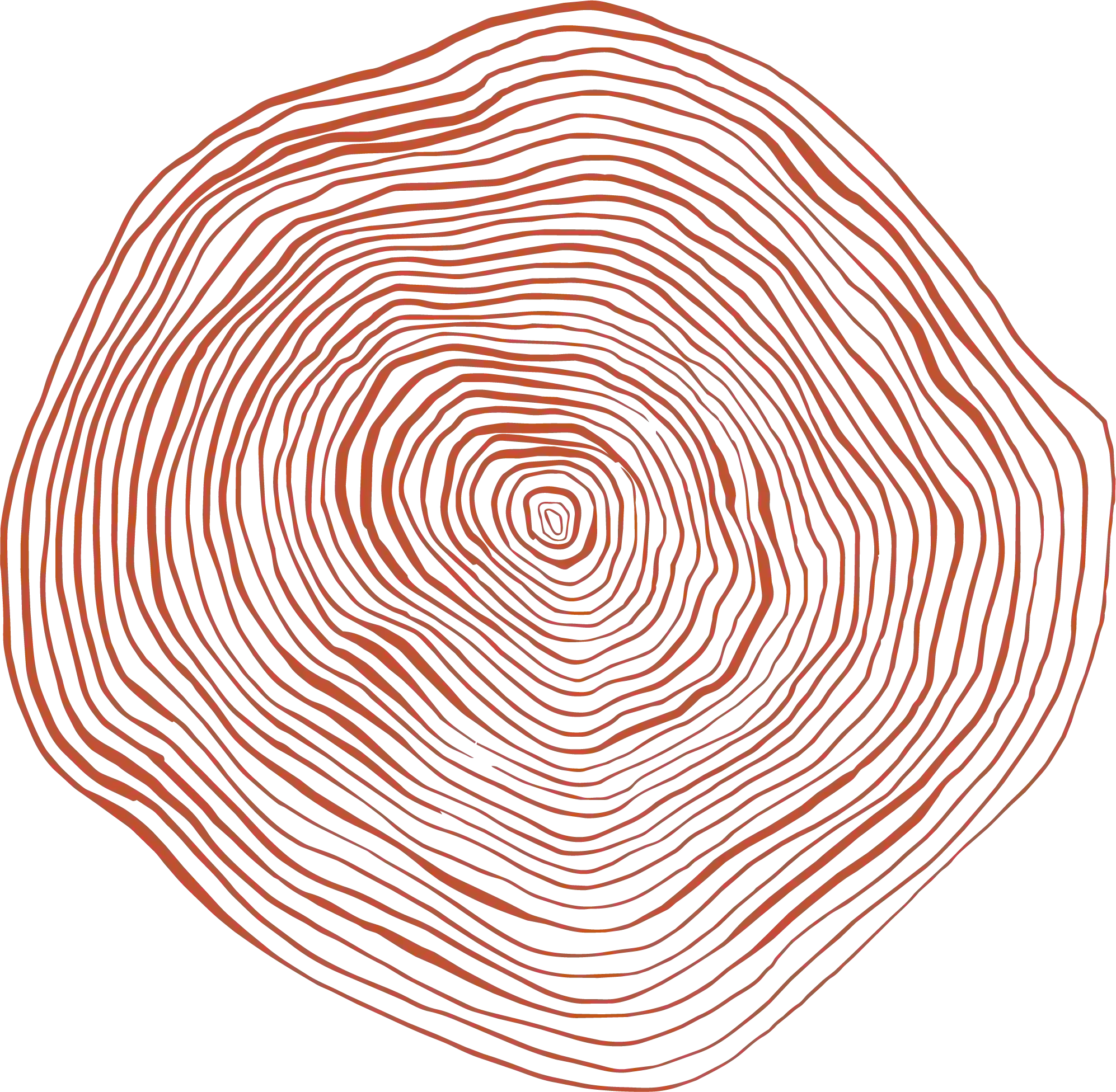 Digitally illustrated graphic of concentric tree circles in orange.