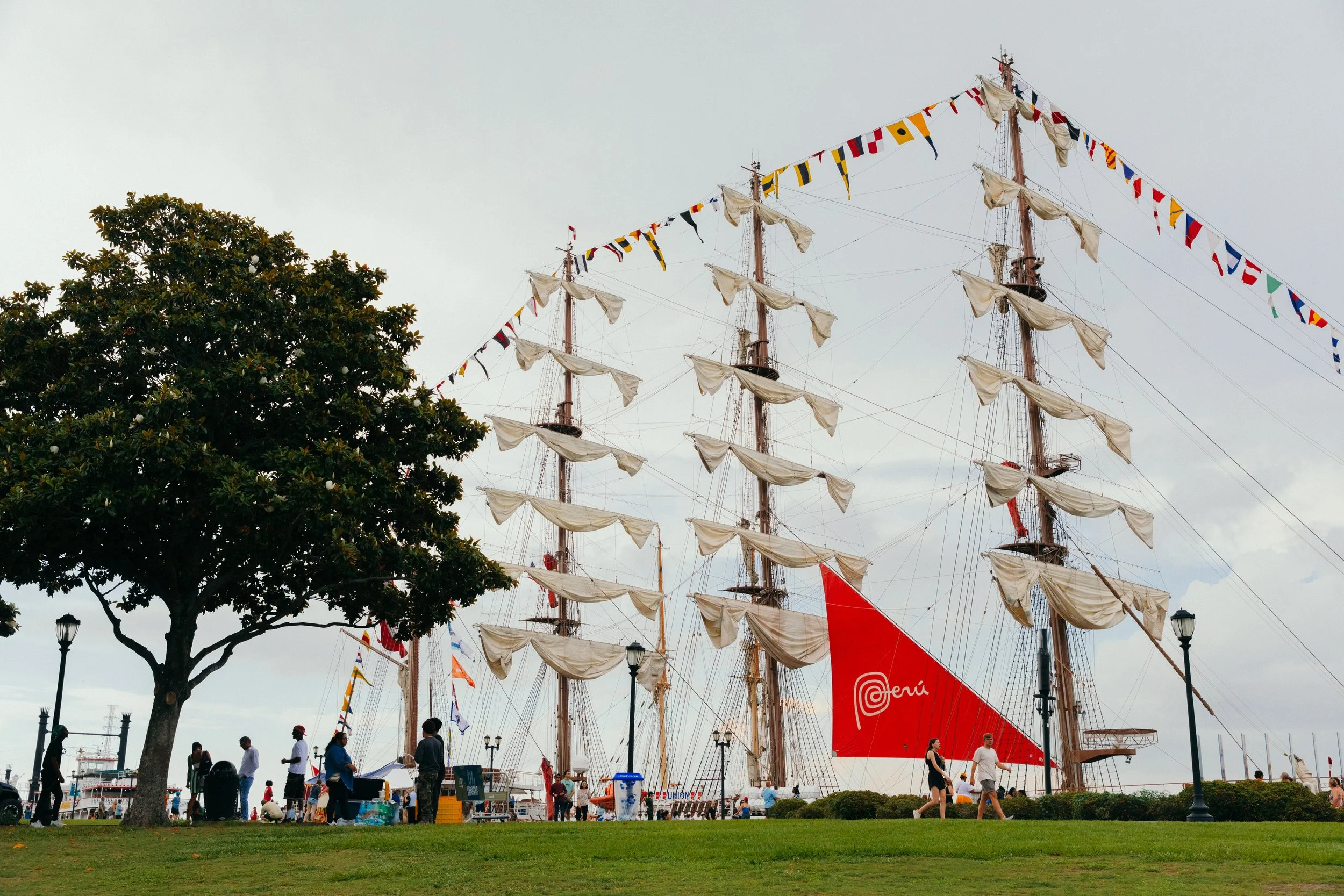 Sail250-9047.jpg