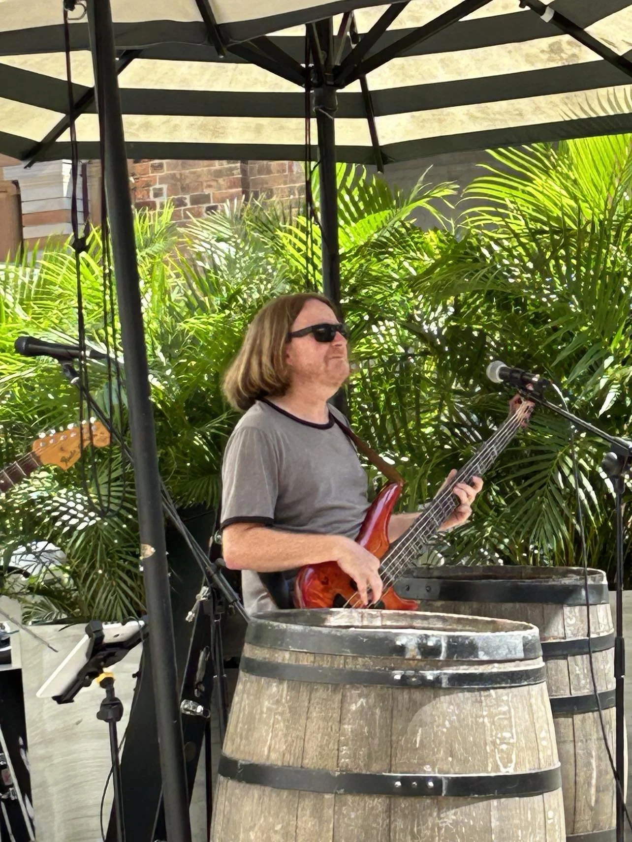 A man wearing sunglasses and a gray t-shirt playing a guitar in front of large tropical plants, with a guitar amplifier and microphones nearby, under a large outdoor umbrella.