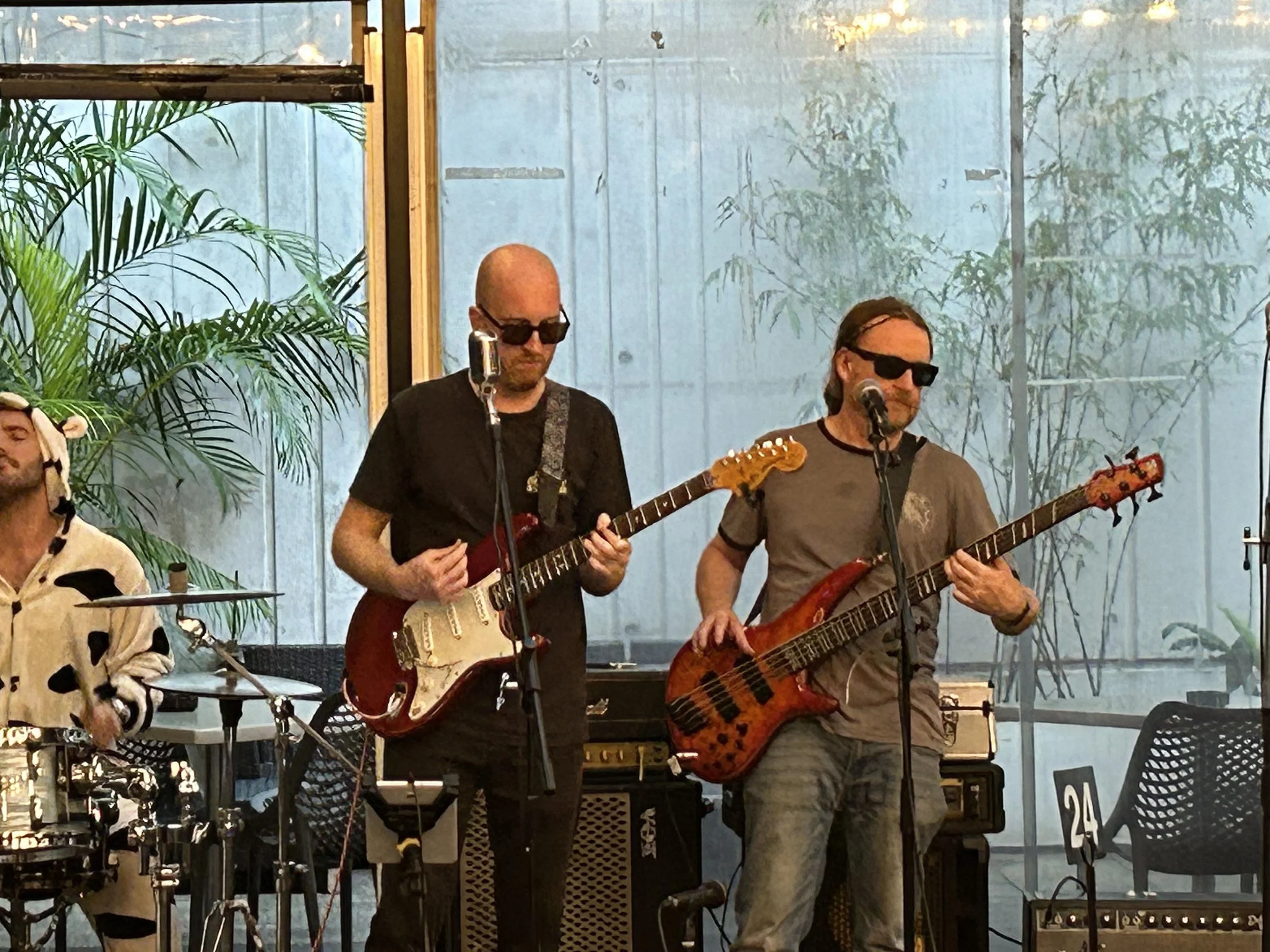 Musicians playing electric guitars and singing into microphones during a live performance. They are indoors with green plants and a large glass window in the background.