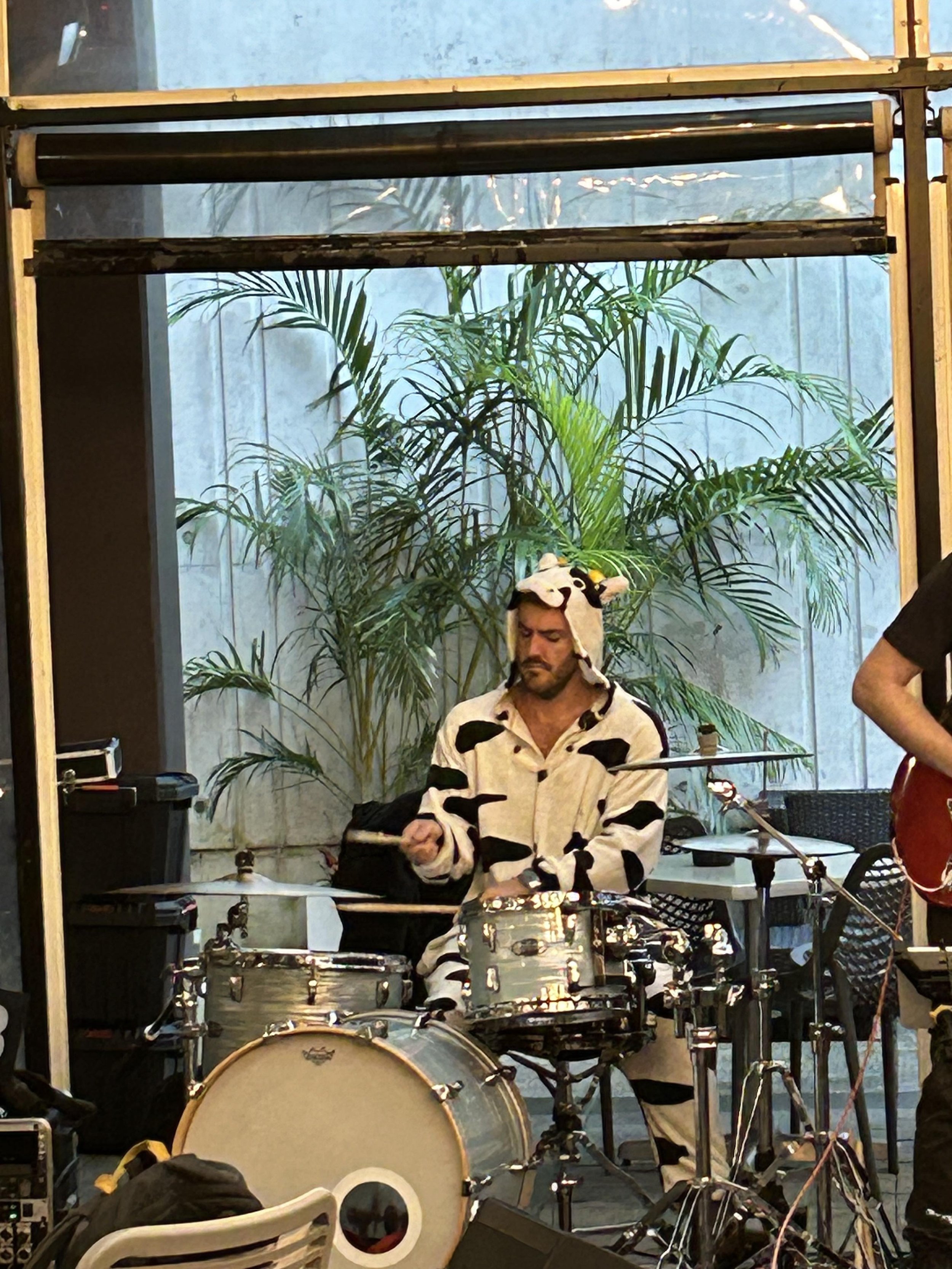 A man wearing a cow suit playing the drums in a room with plants and musical equipment.