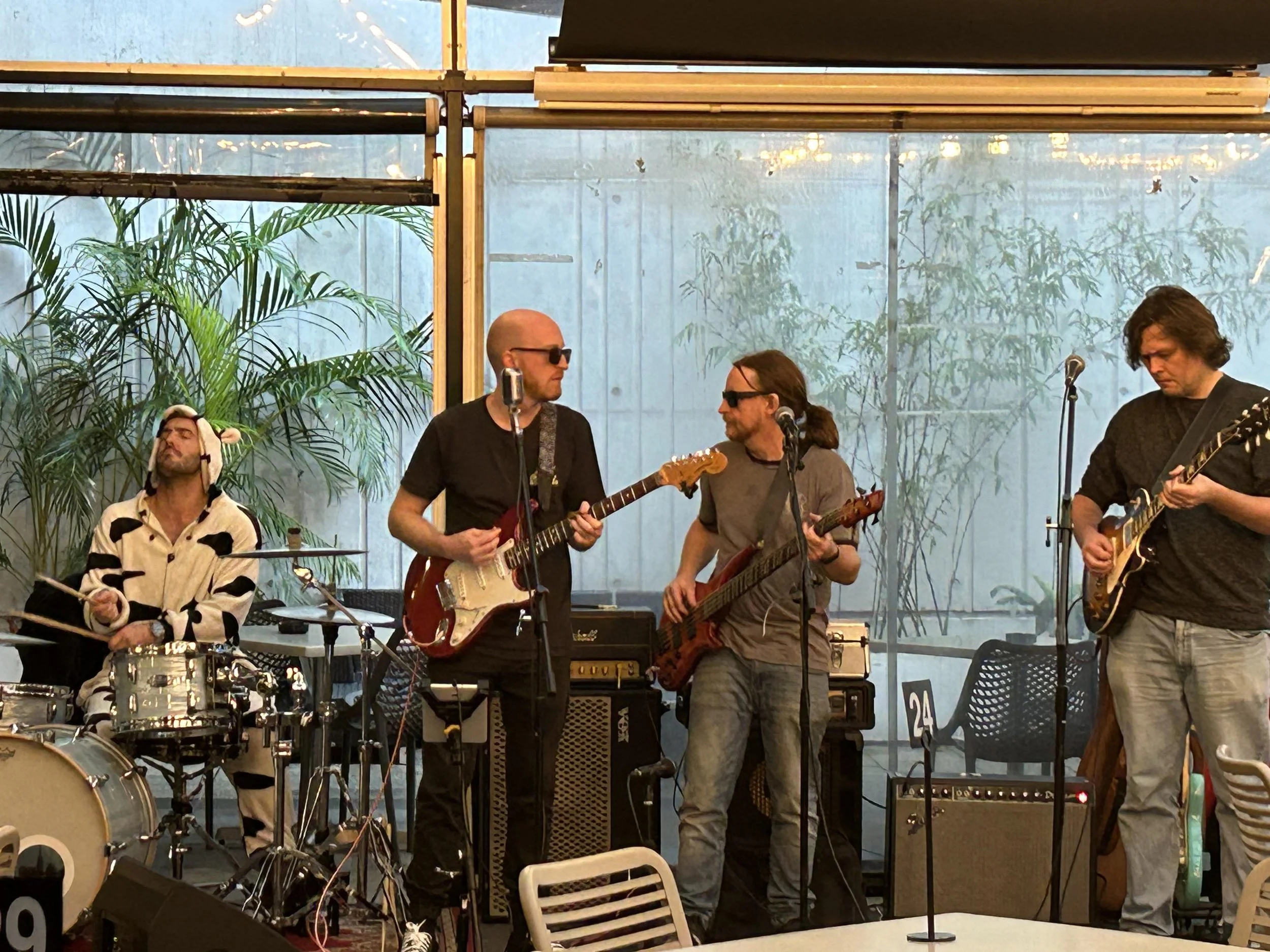 A band of five musicians performing on stage. The stage is set with tropical plants and musical equipment. One musician is playing drums, two guitarists are holding electric guitars, and one is playing an acoustic guitar. The background includes a la
