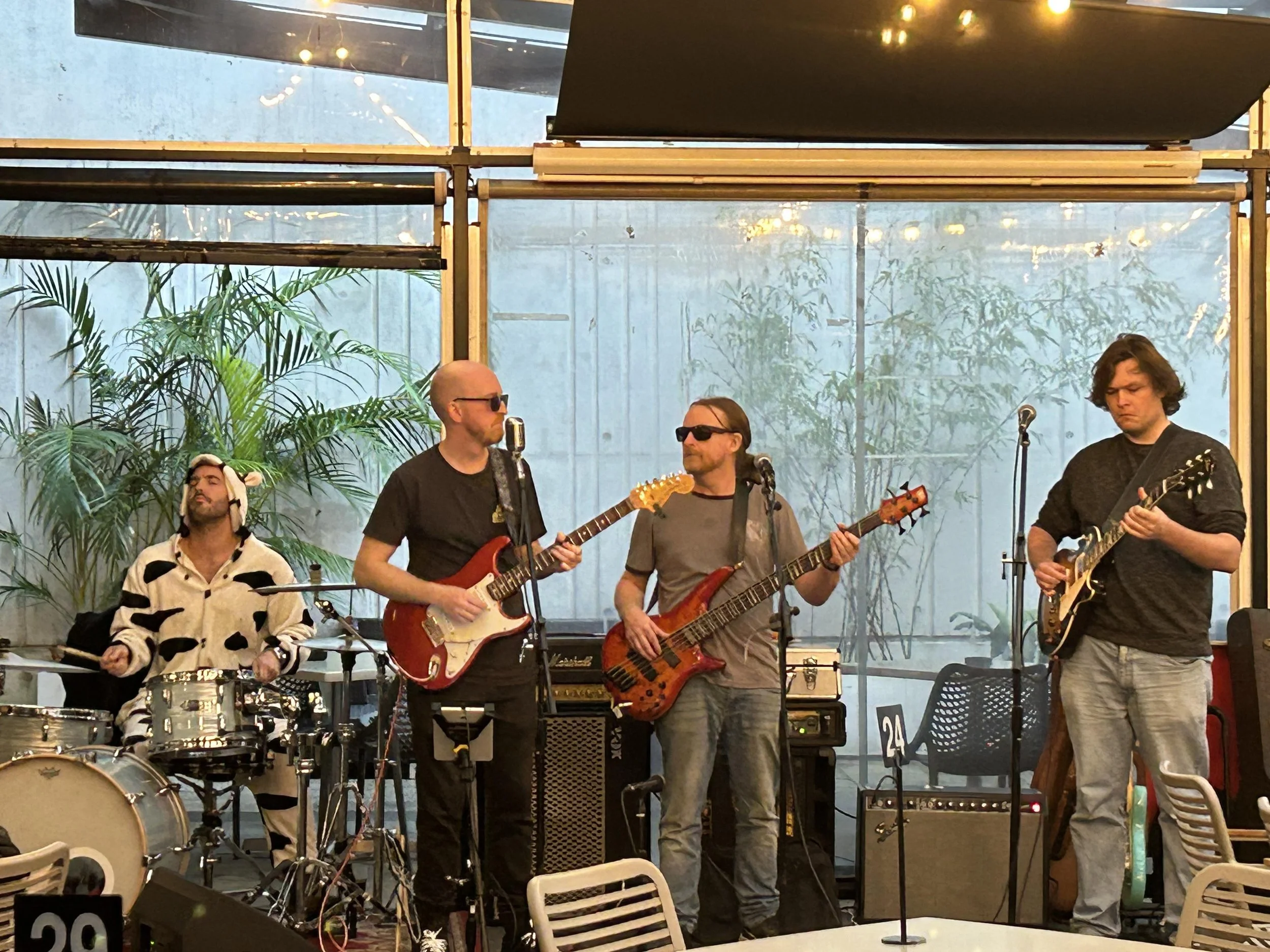 Four musicians perform on a stage with large windows, greenery, and string lights in the background. The group includes a drummer, two guitarists, and a bassist, all dressed casually.