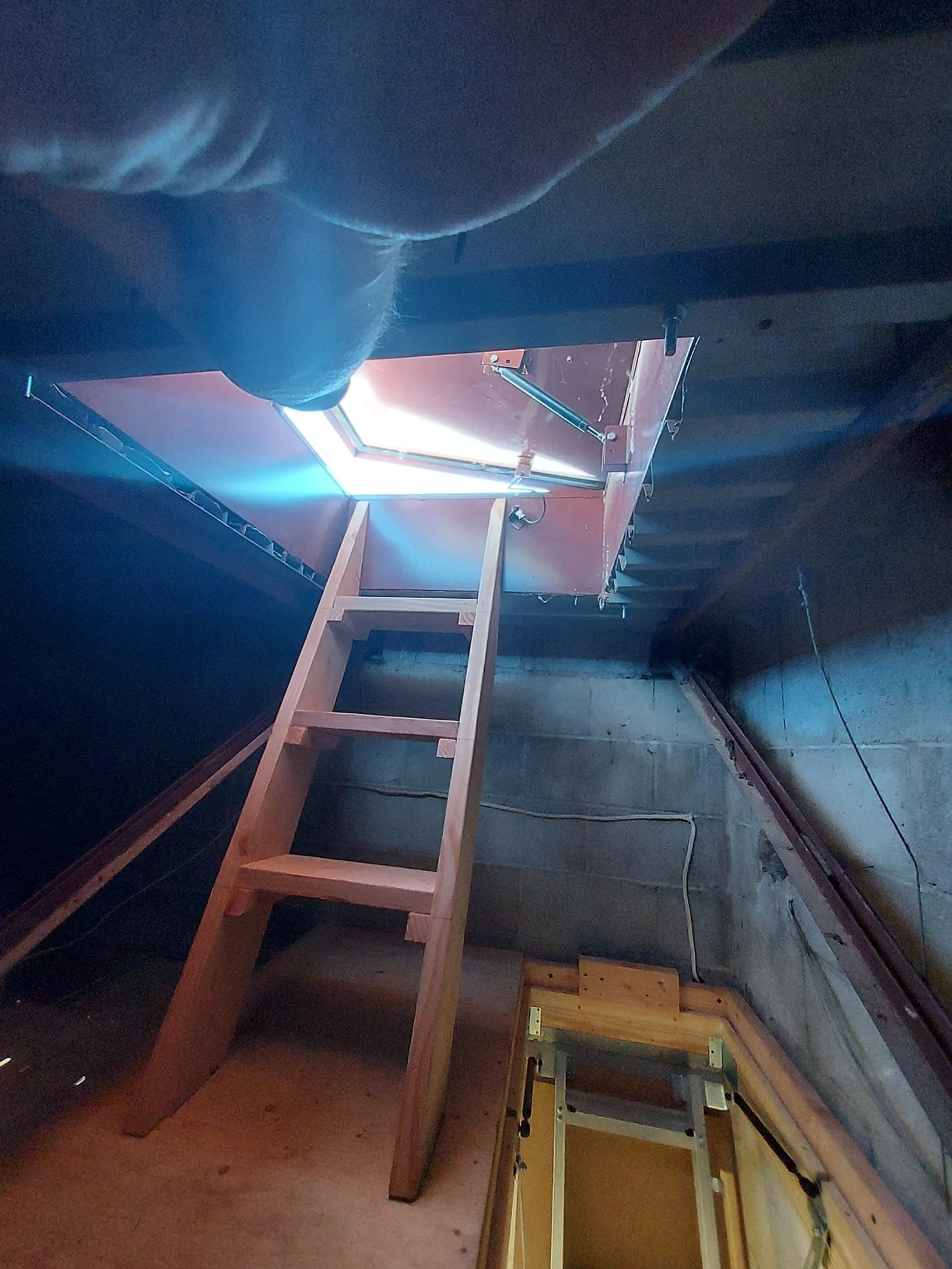 20230413_114817.jpg