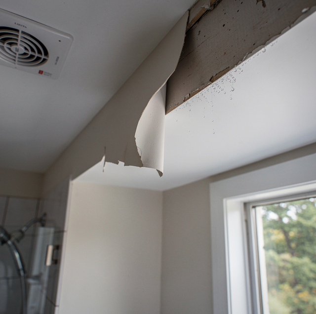Why Interior Paint Peels and How to Stop the Cycle