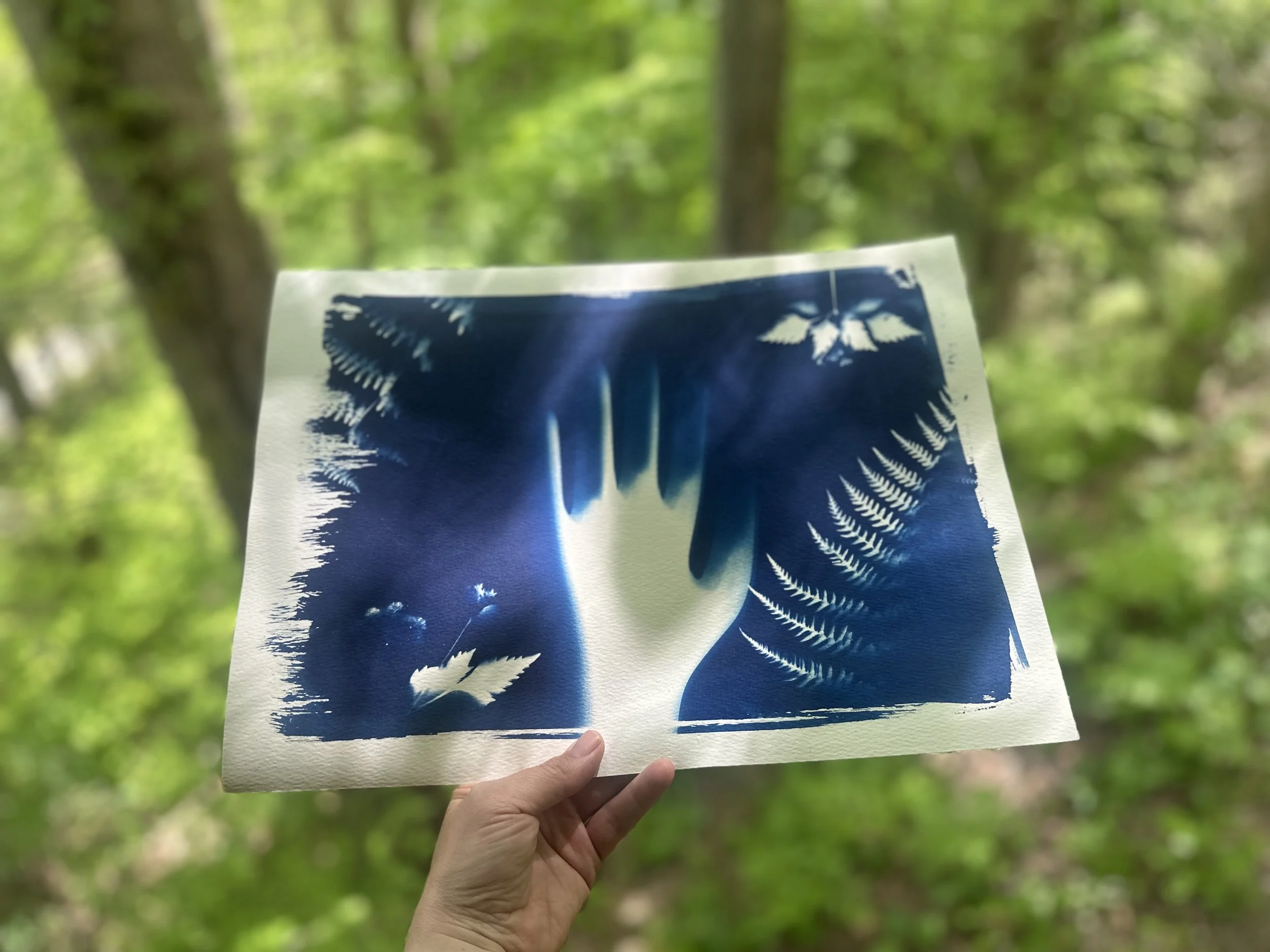 Evidence of Light