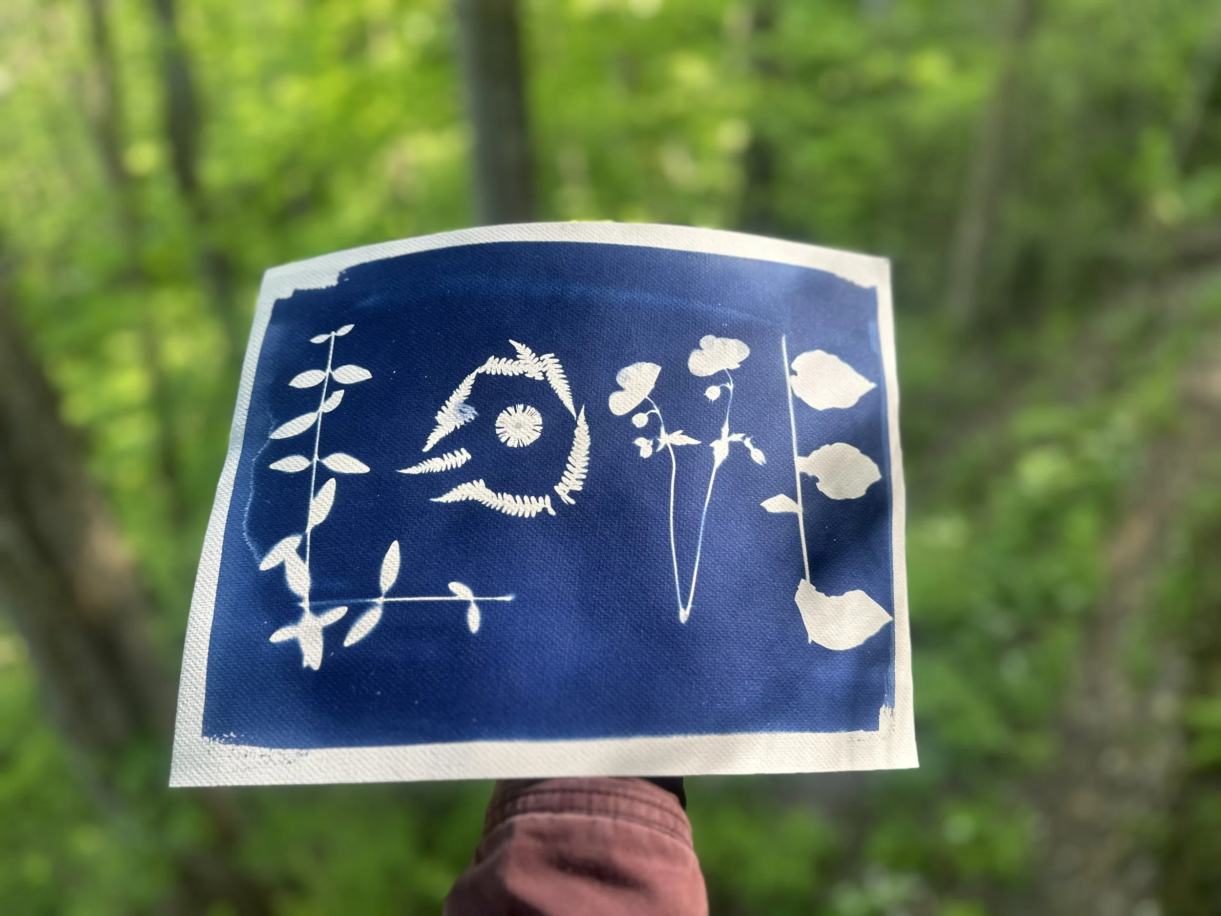 Love Letter
