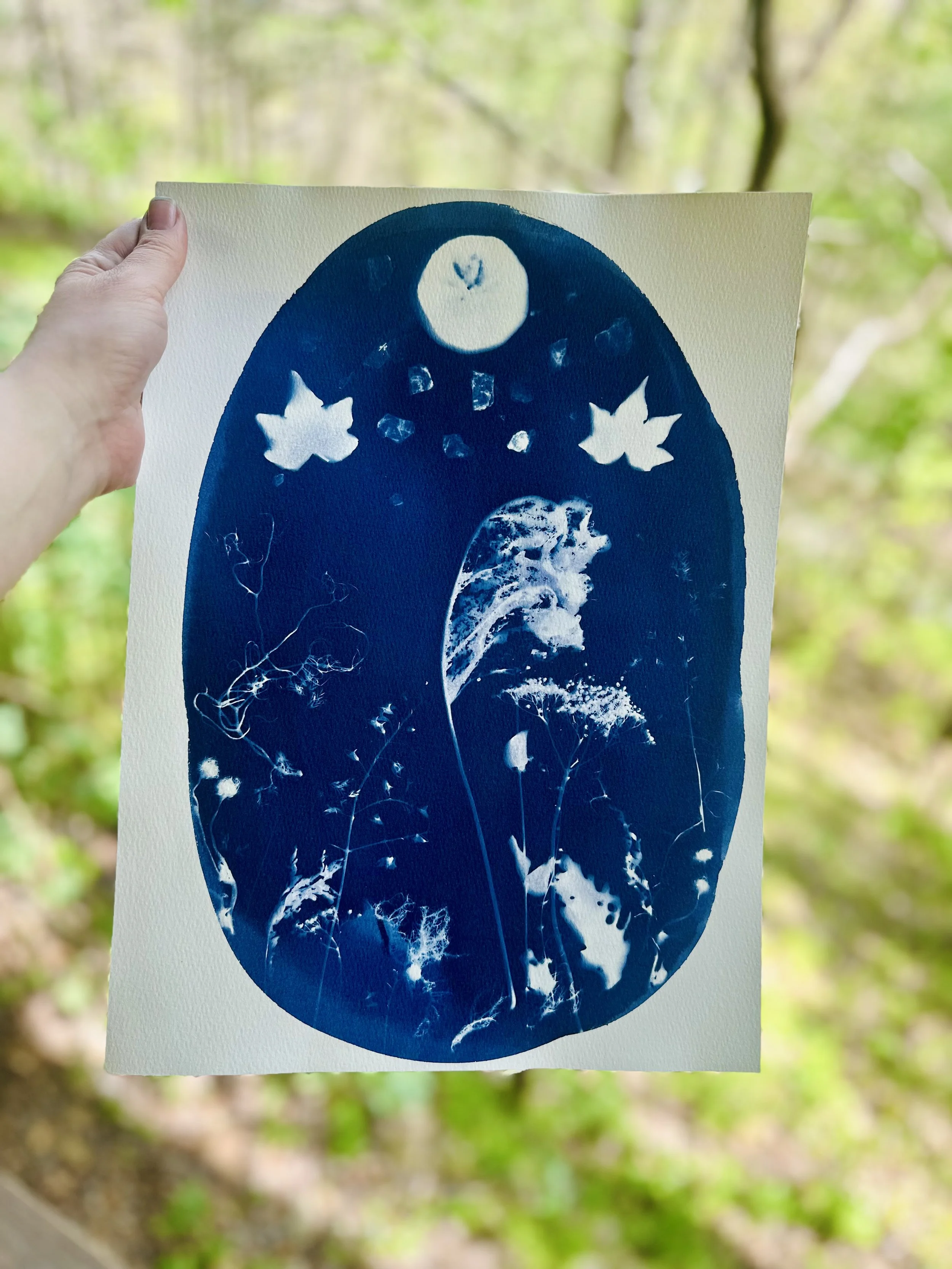 Ghost Leaf