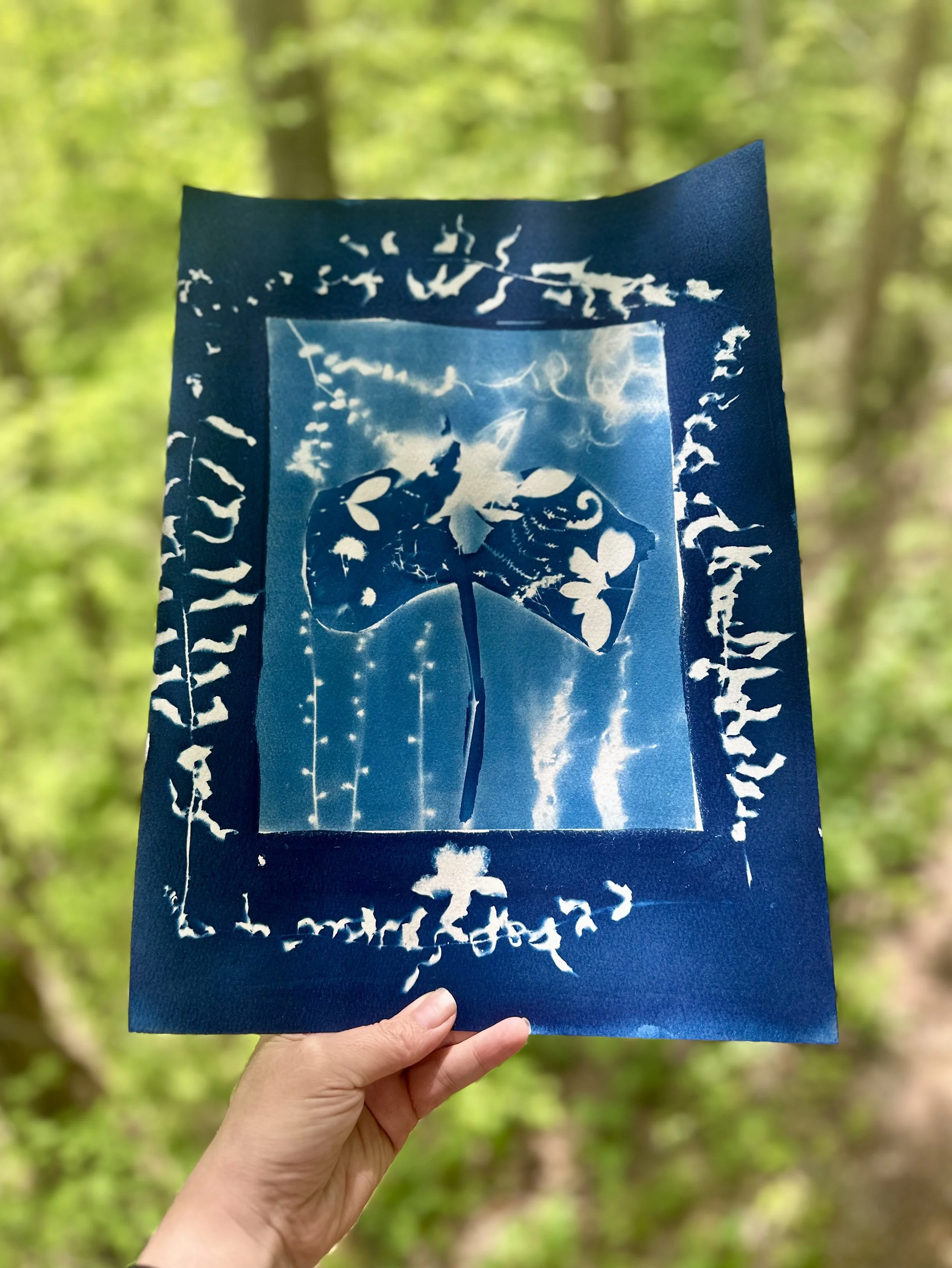 Trillium Quilt