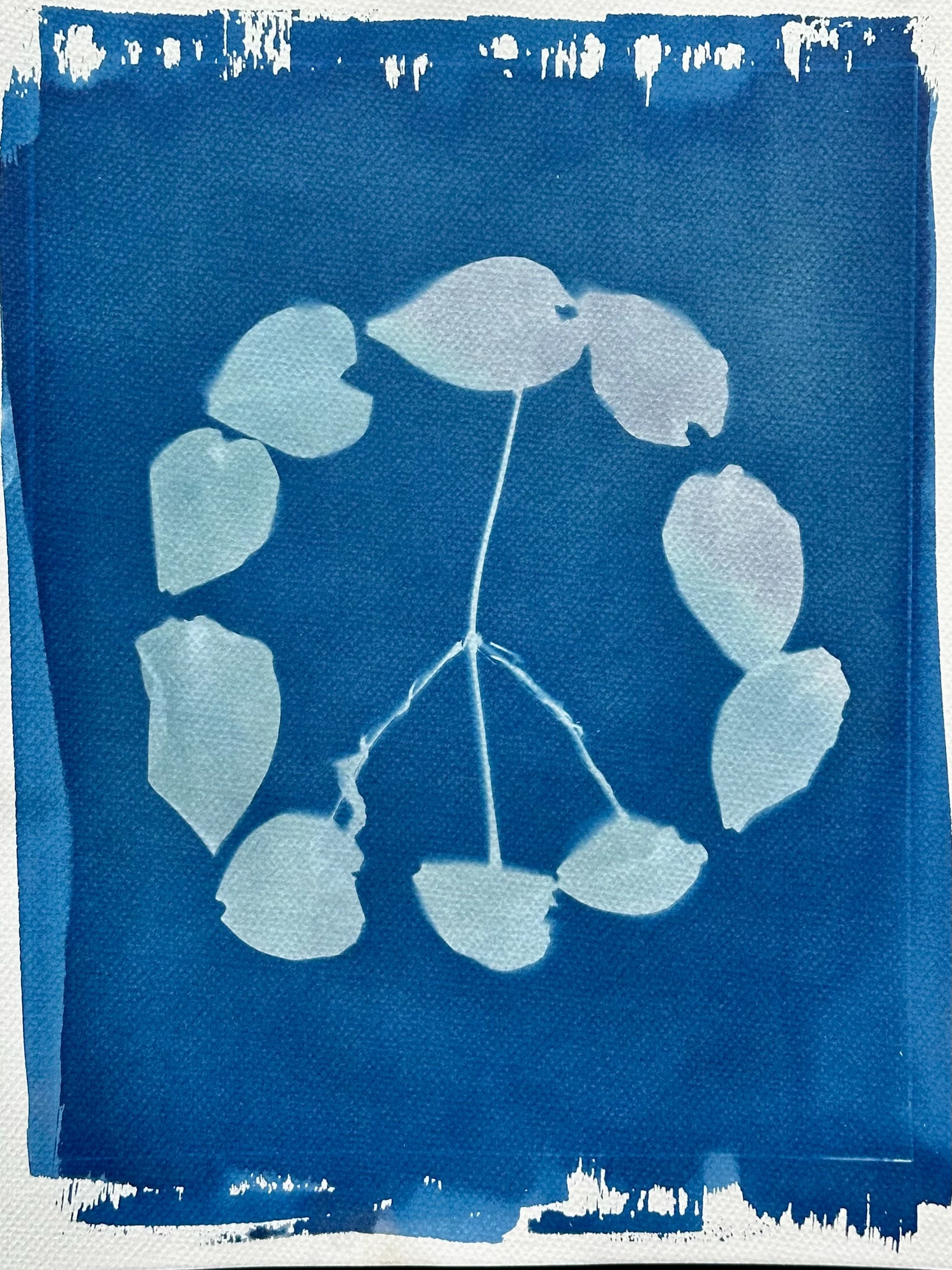 Botanical peace sign created from leaves in a handmade cyanotype print on deep blue paper.