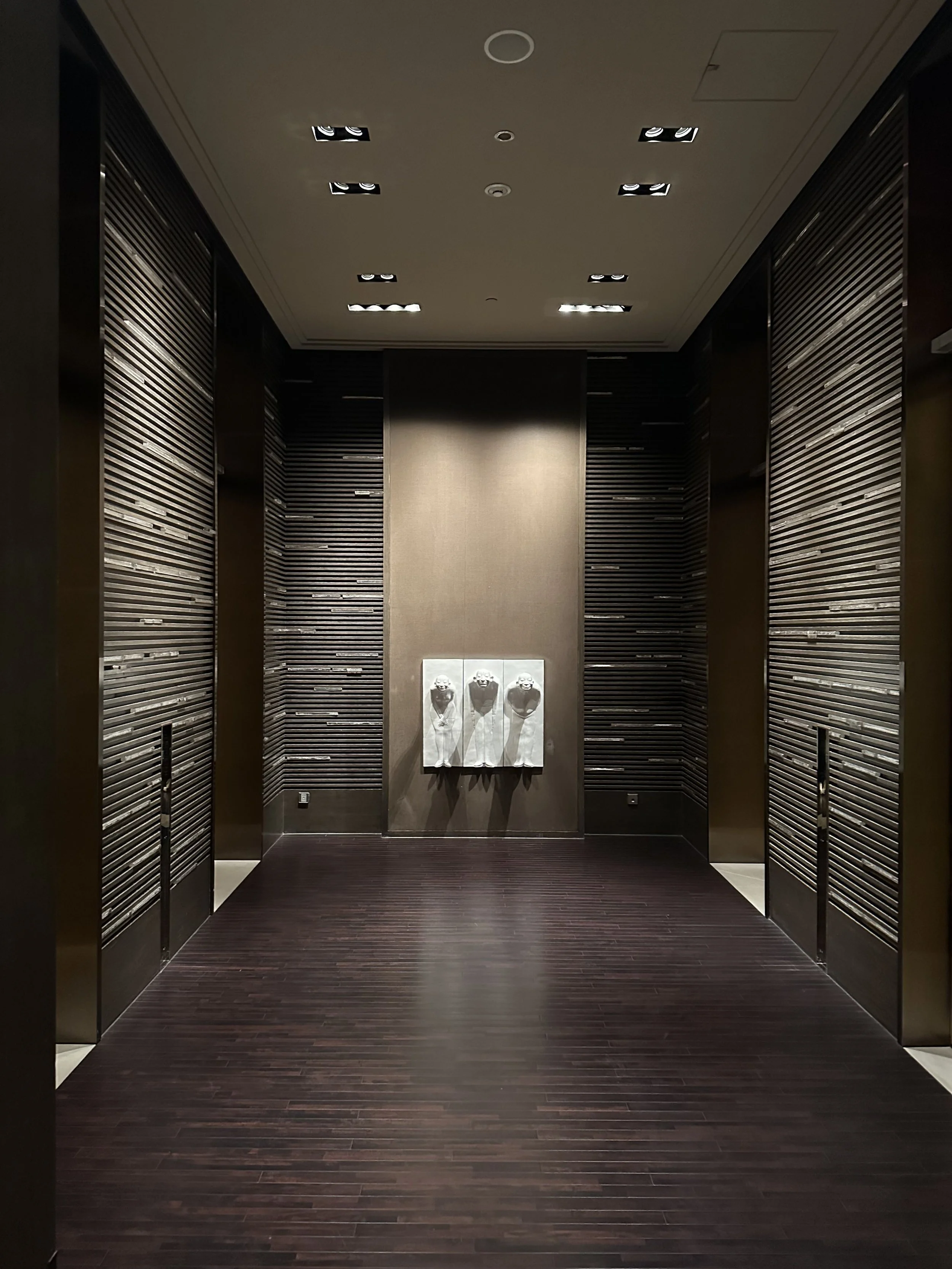 Ground Level Lifts