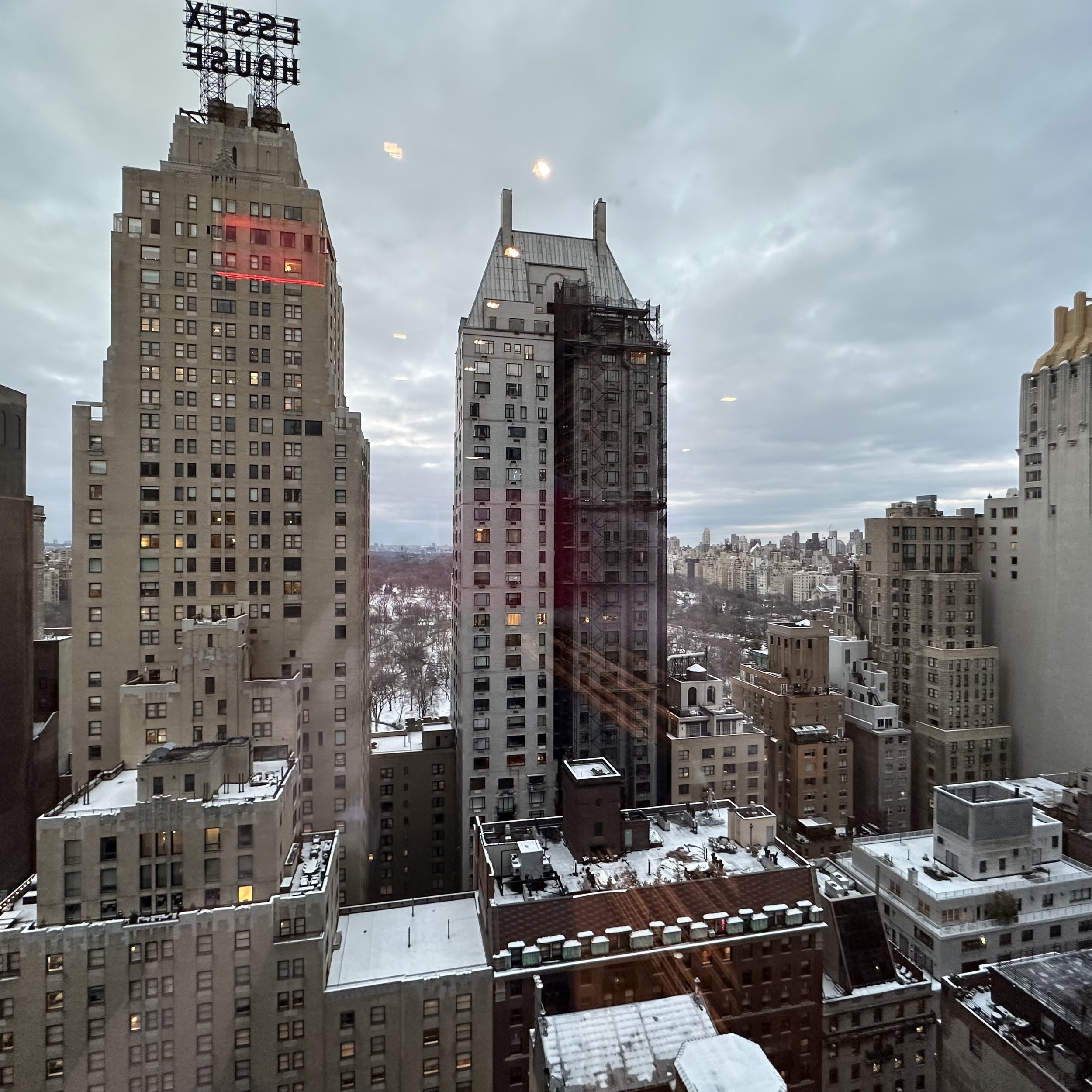Central Park View