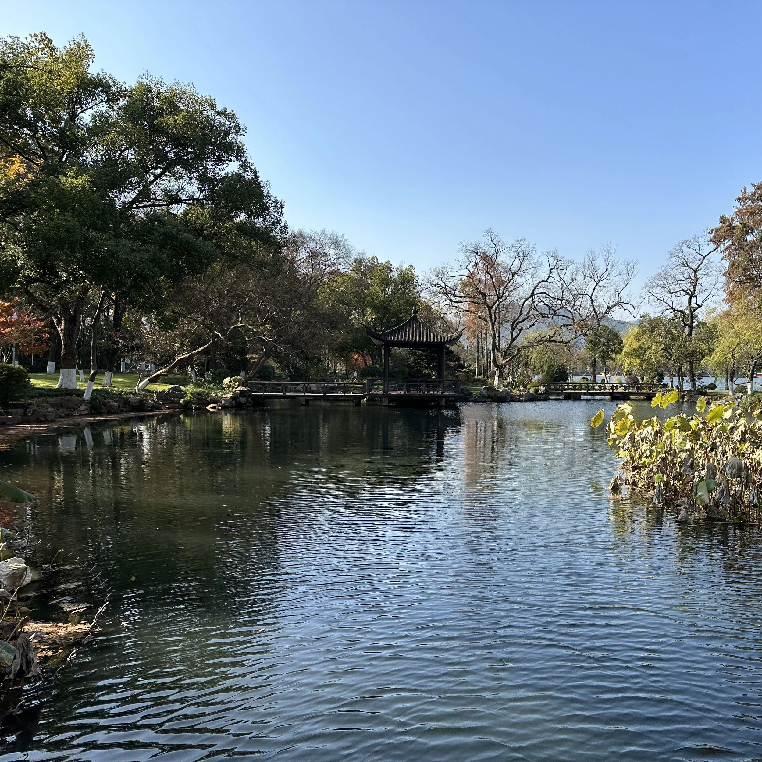 Hotel Grounds