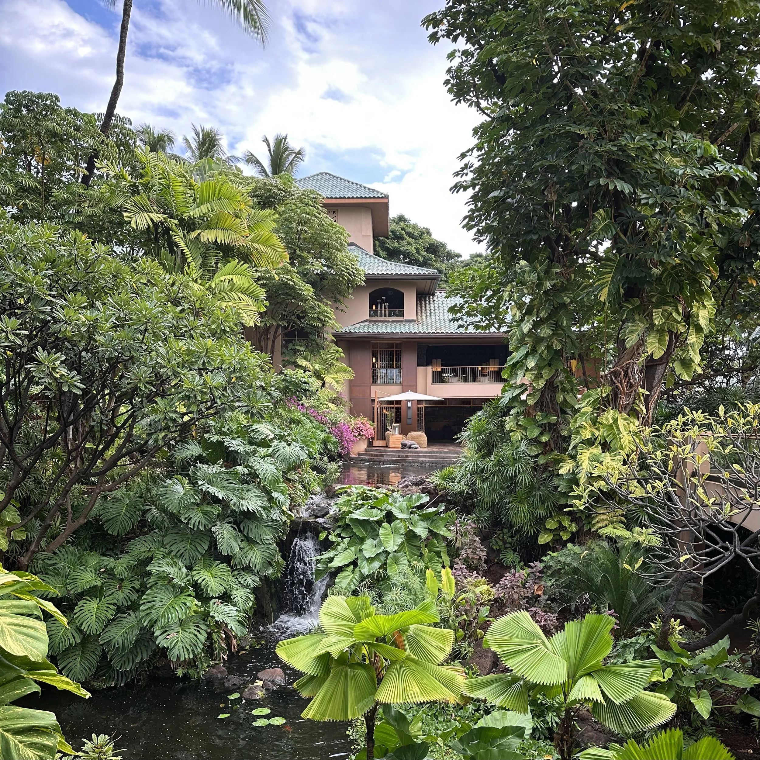 Botanica