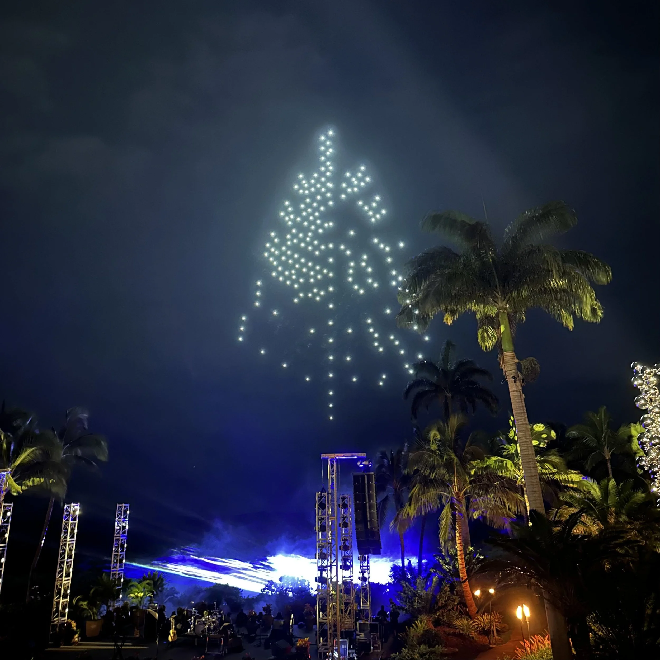 Drone Show