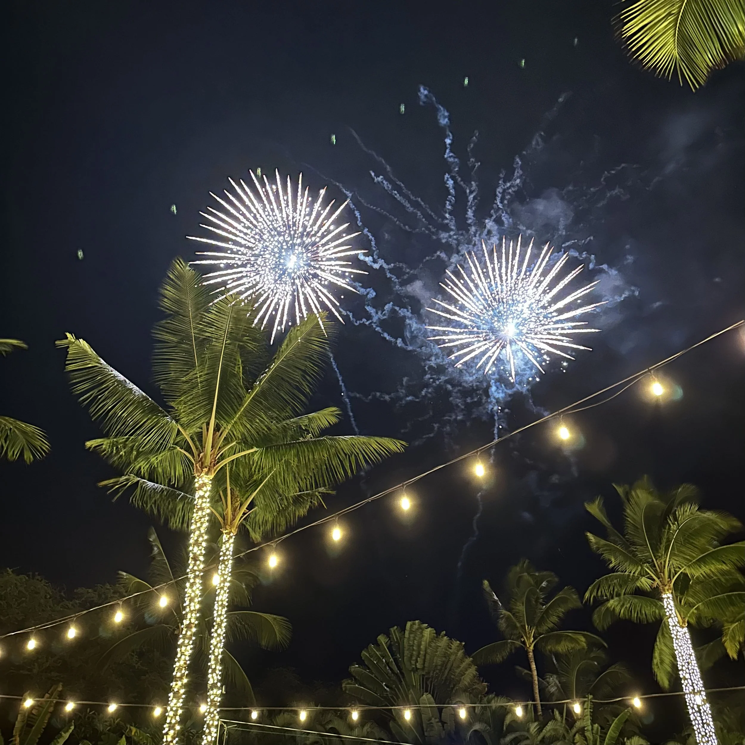Fireworks