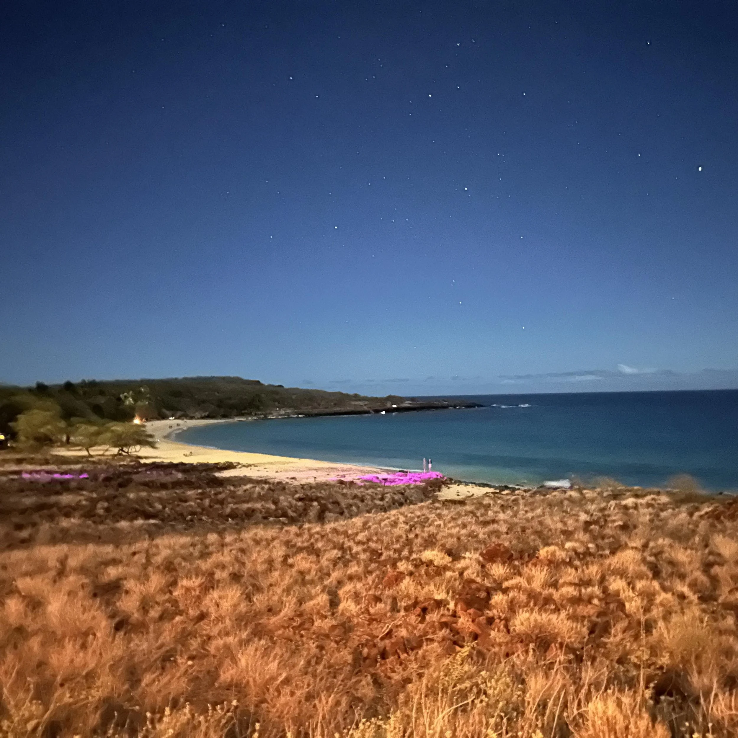 Beach Night