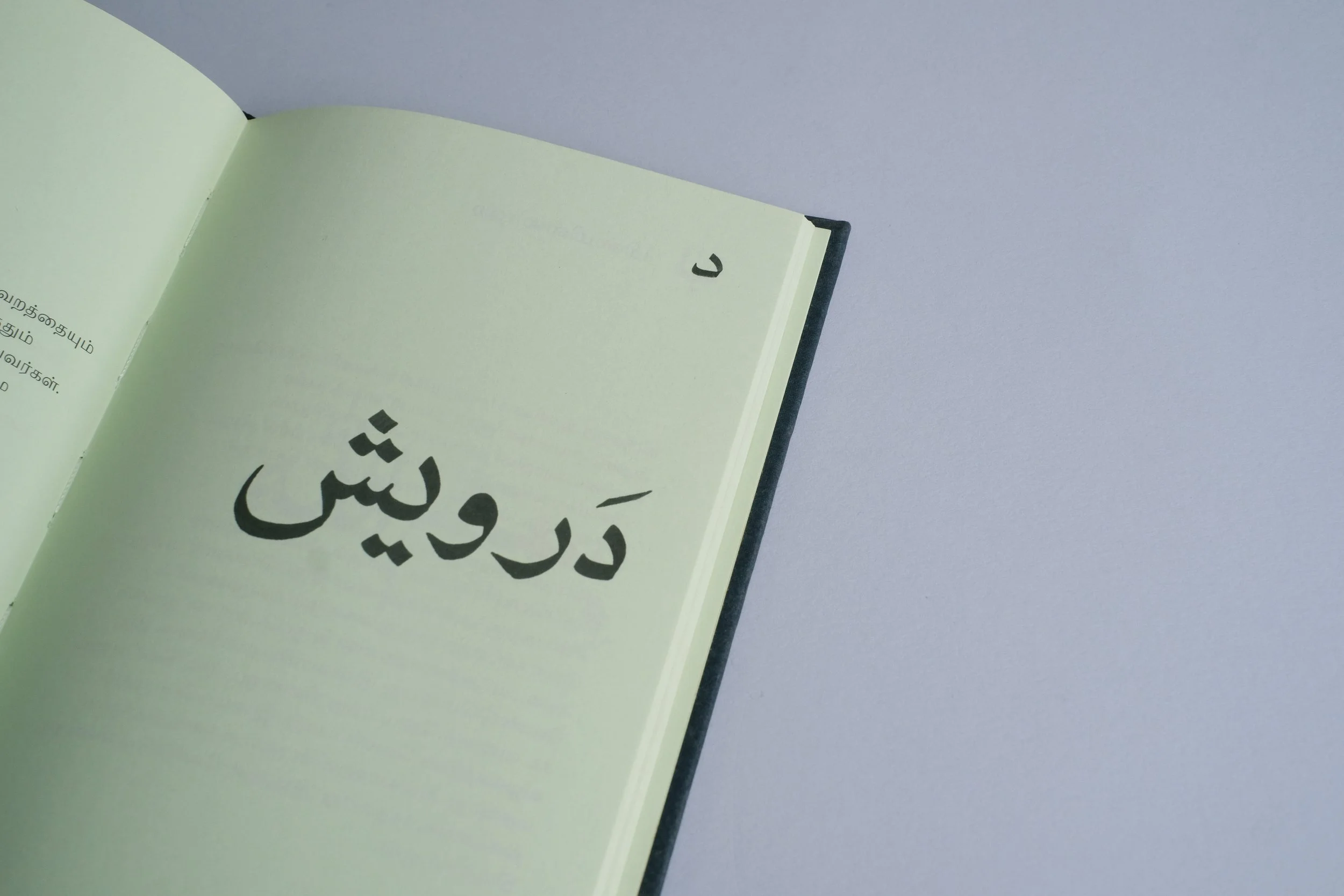 Nia_Thandapani_Rumi_00020.jpg