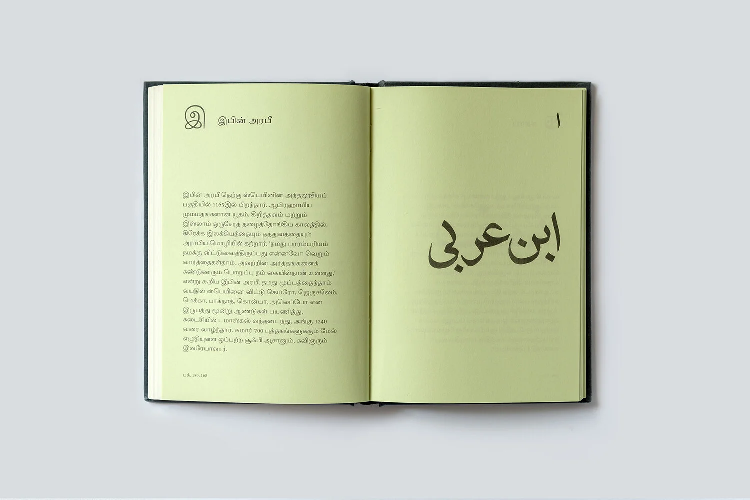 Nia-Thandapani-Rumi3.jpg