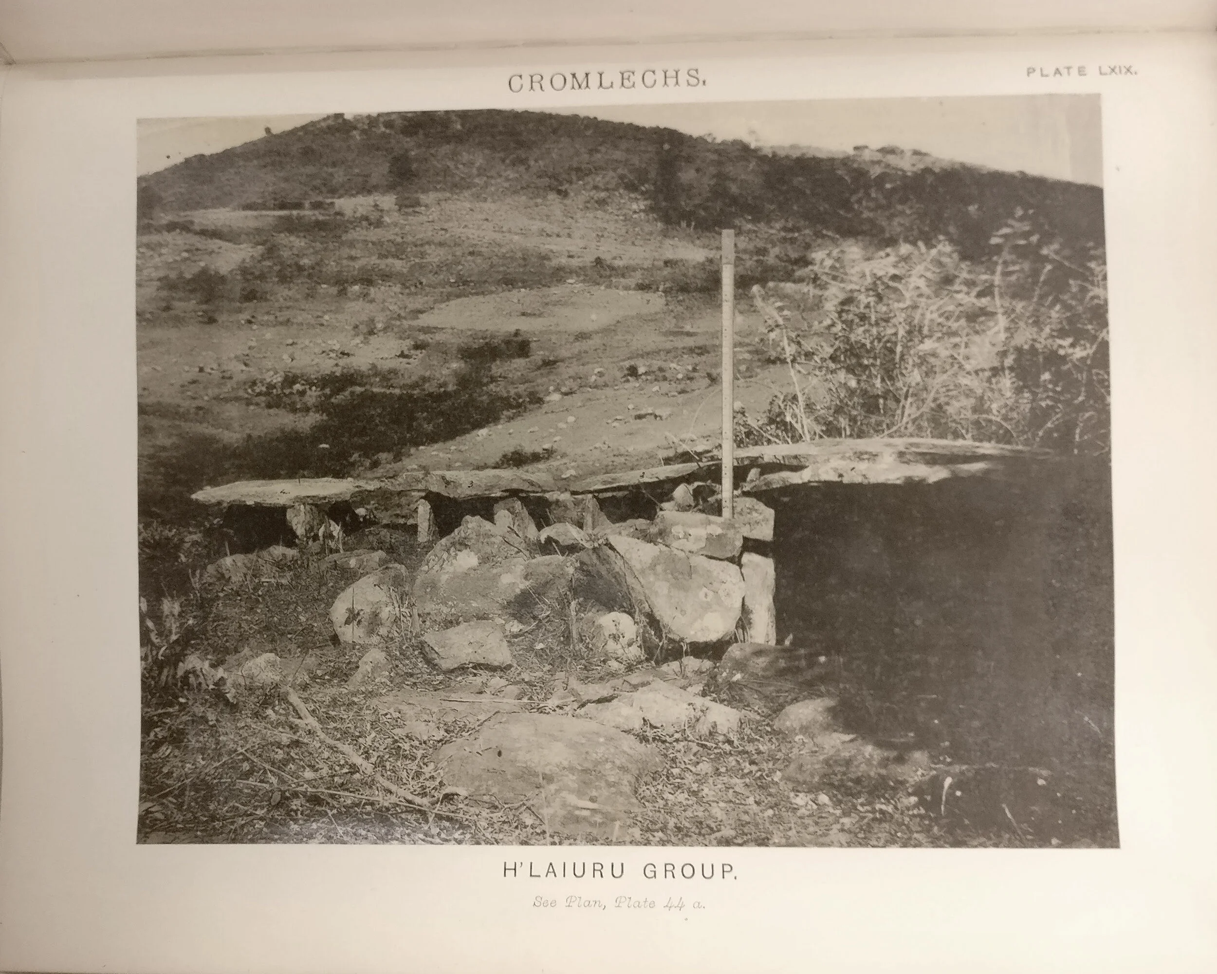Photographing the Adivasi people of the Nilgiris: The Museum and the Art School