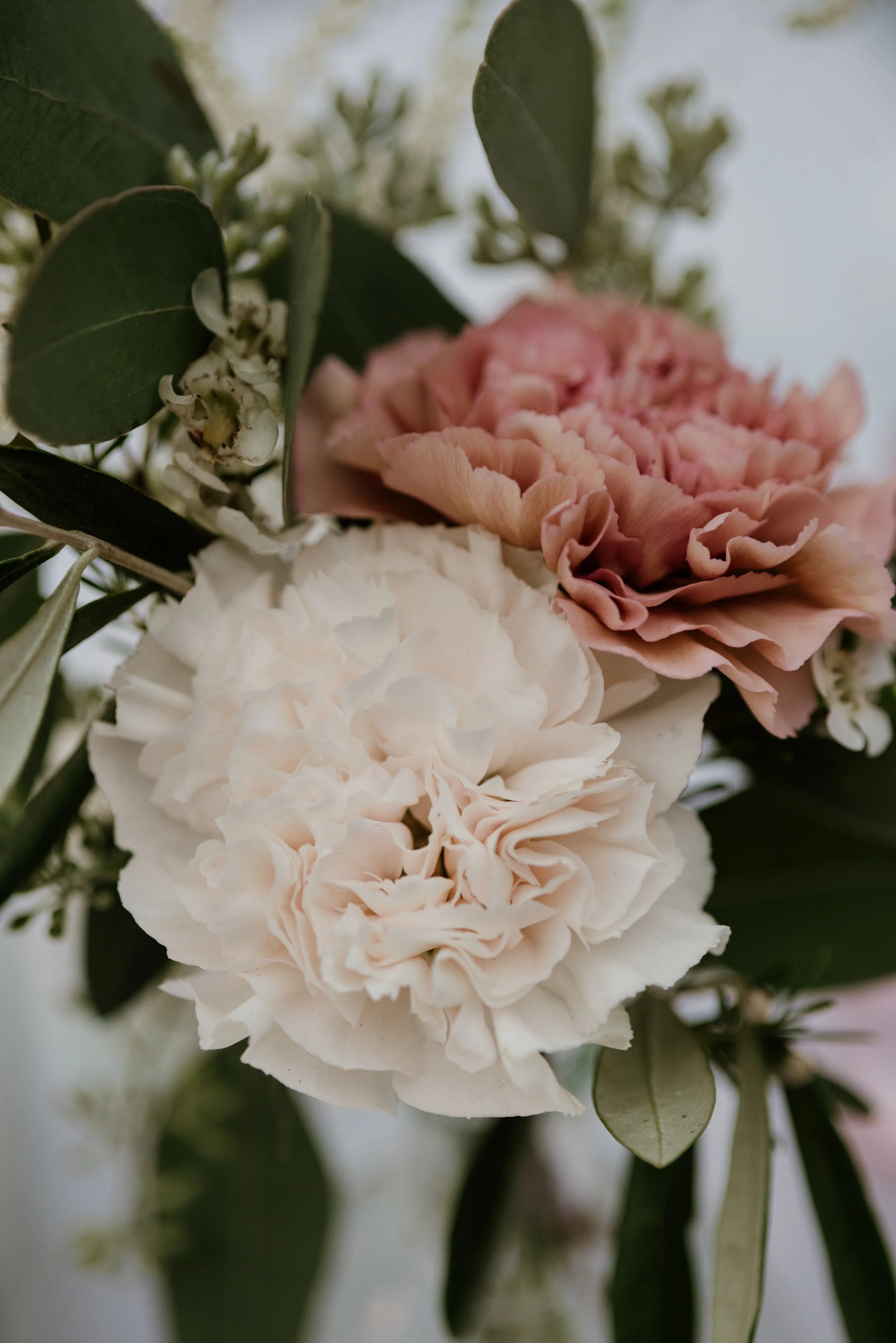 Primo piano di fiori di garofano bianco e rosa chiaro con foglie verdi