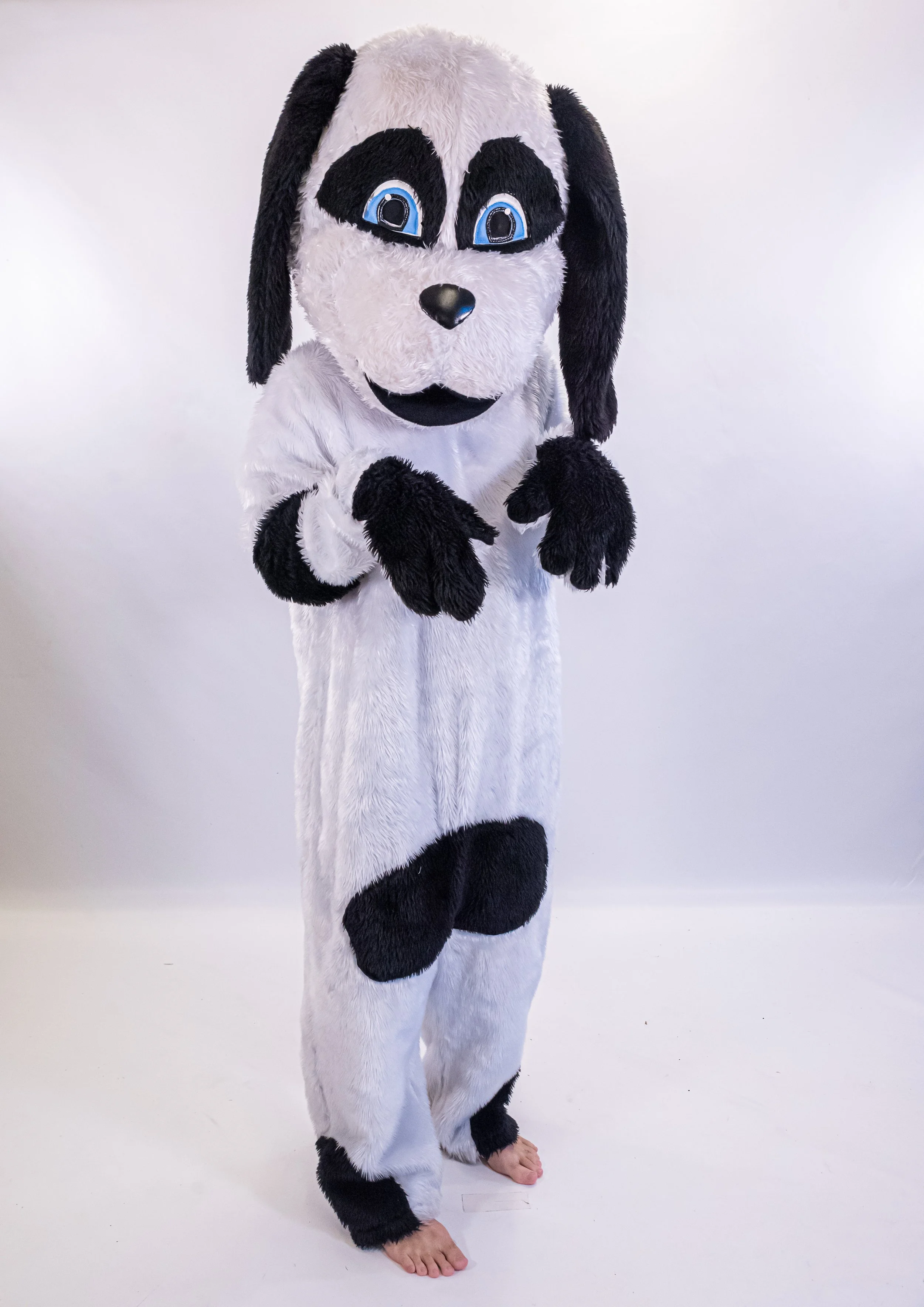 BOW WOW
