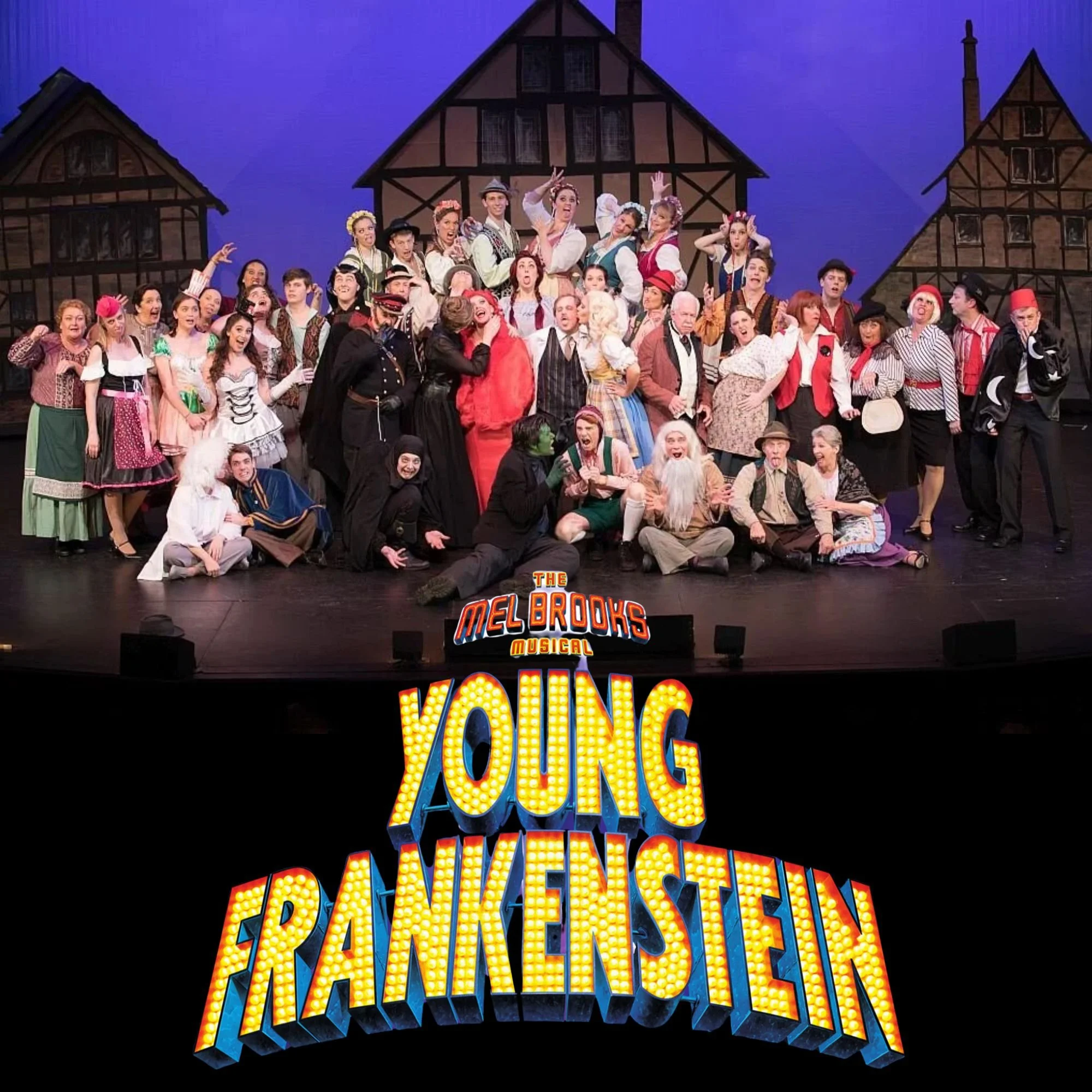 YOUNG FRANKENSTEIN