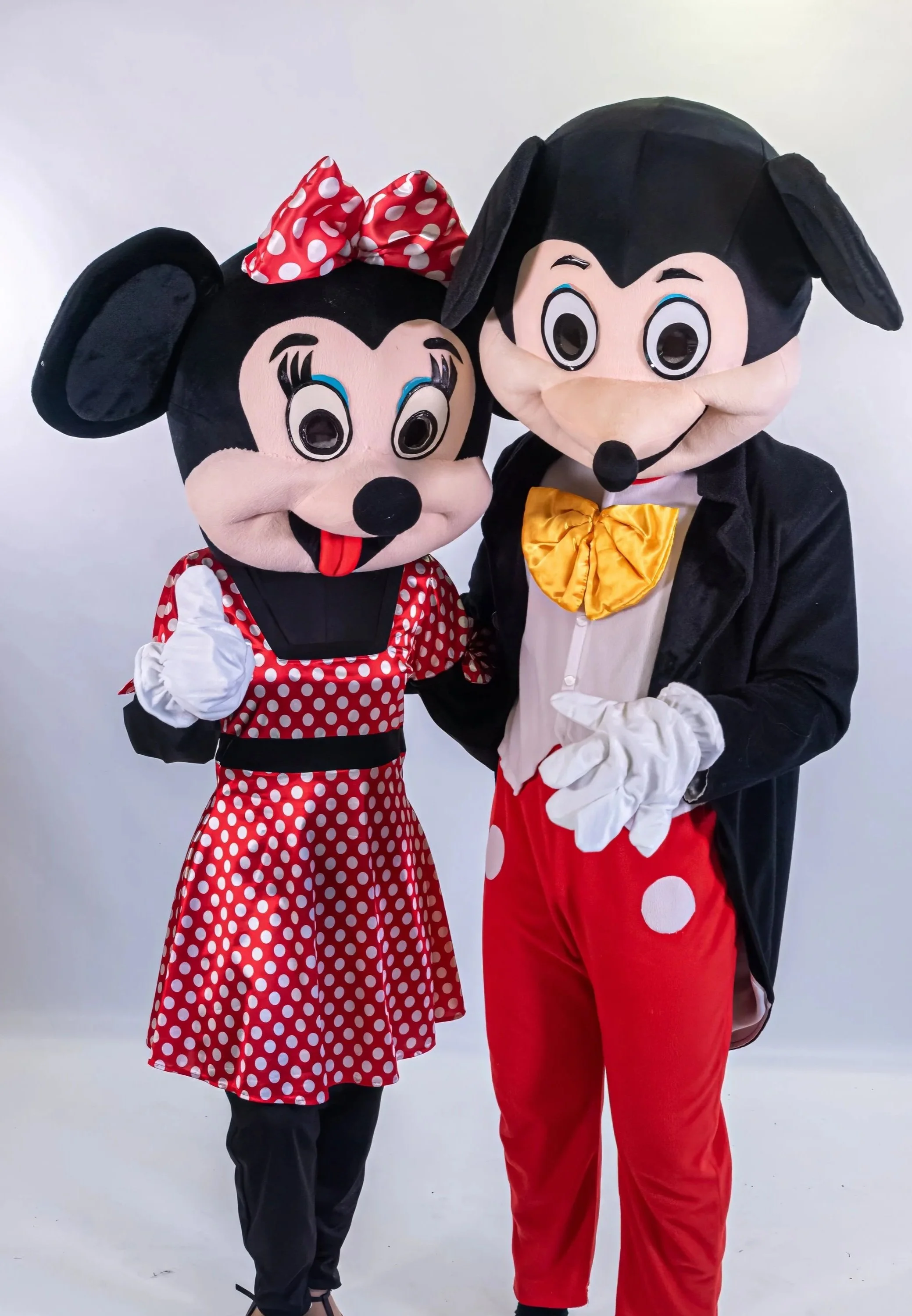 MASCOT HIRE