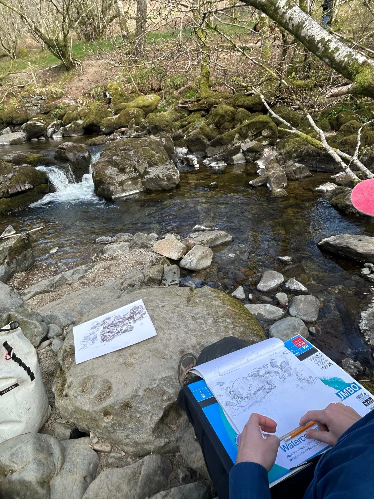 Nature Walk & Draw (pay what you can)