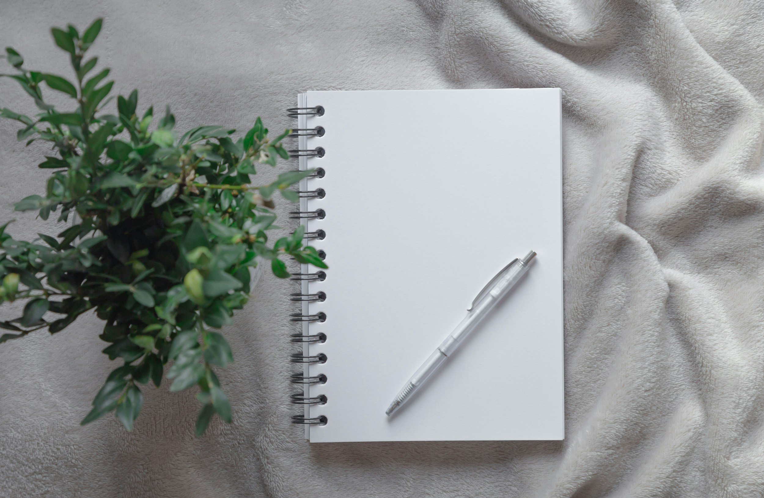 A green leafy plant, an open white spiral notebook, and a clear pen are placed on a soft gray fabric surface.