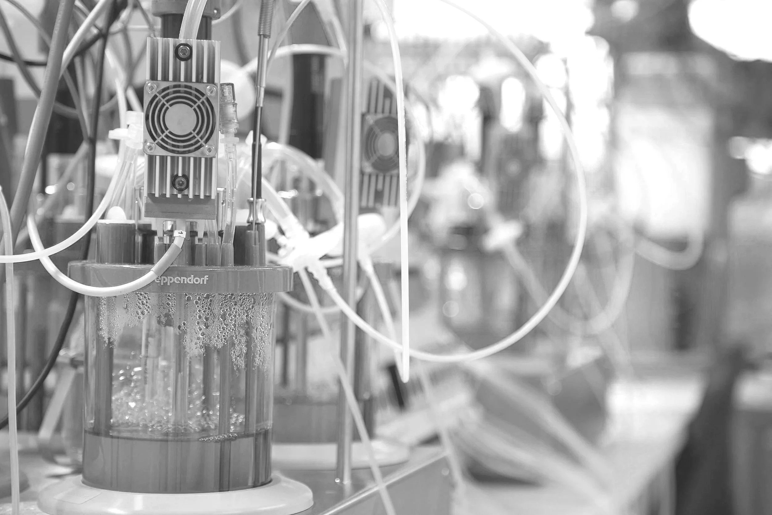 Laboratory setup with glass containers, tubes, and scientific equipment, possibly for chemistry or biology experiments, in black and white.