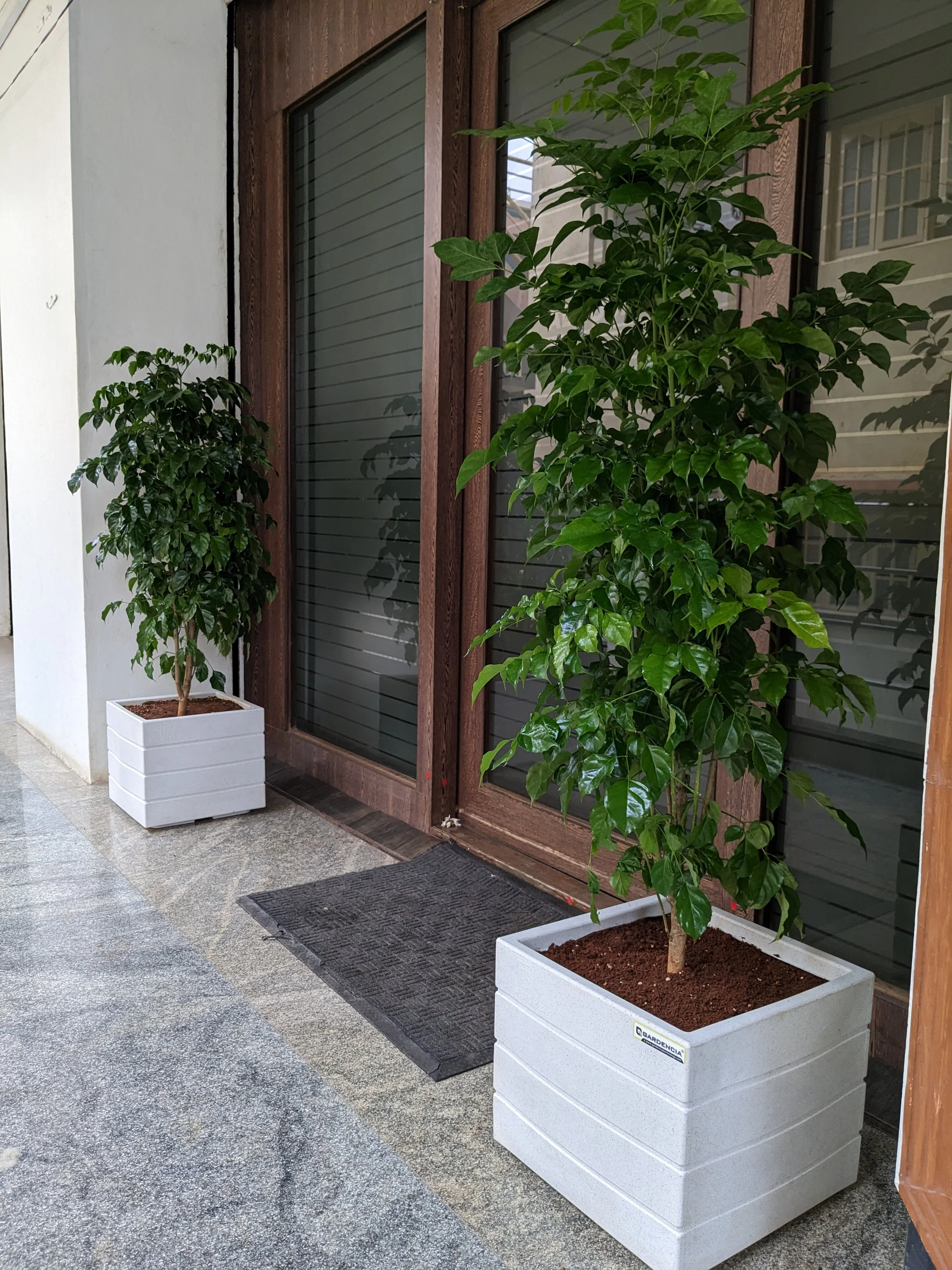 PXL_20230421_120948915.MP.jpg