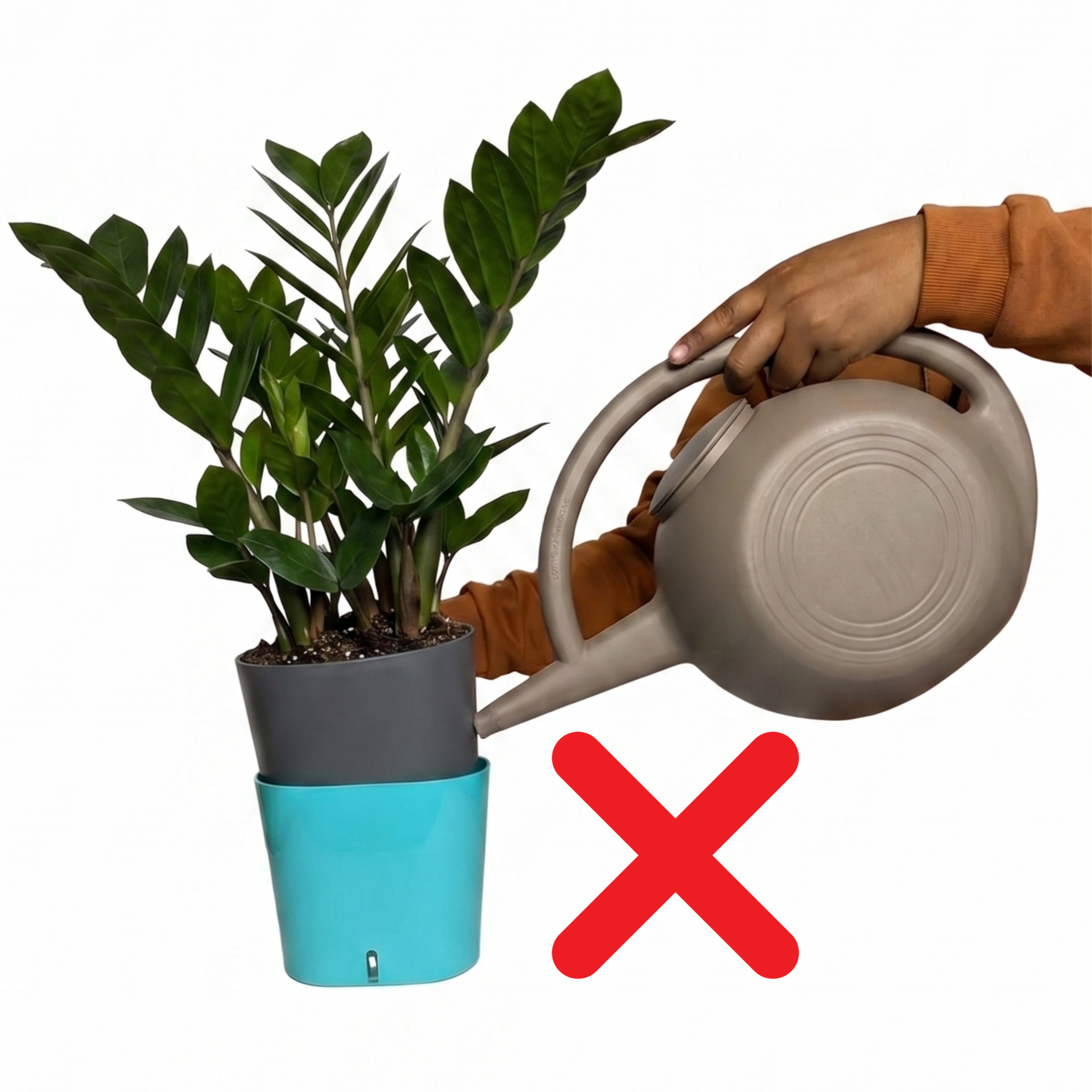 A person in a brown sweater is holding a white speaker or electronic device, with a plant with dark green leaves in a pot next to them. A large red 'X' mark is displayed at the bottom right of the image.