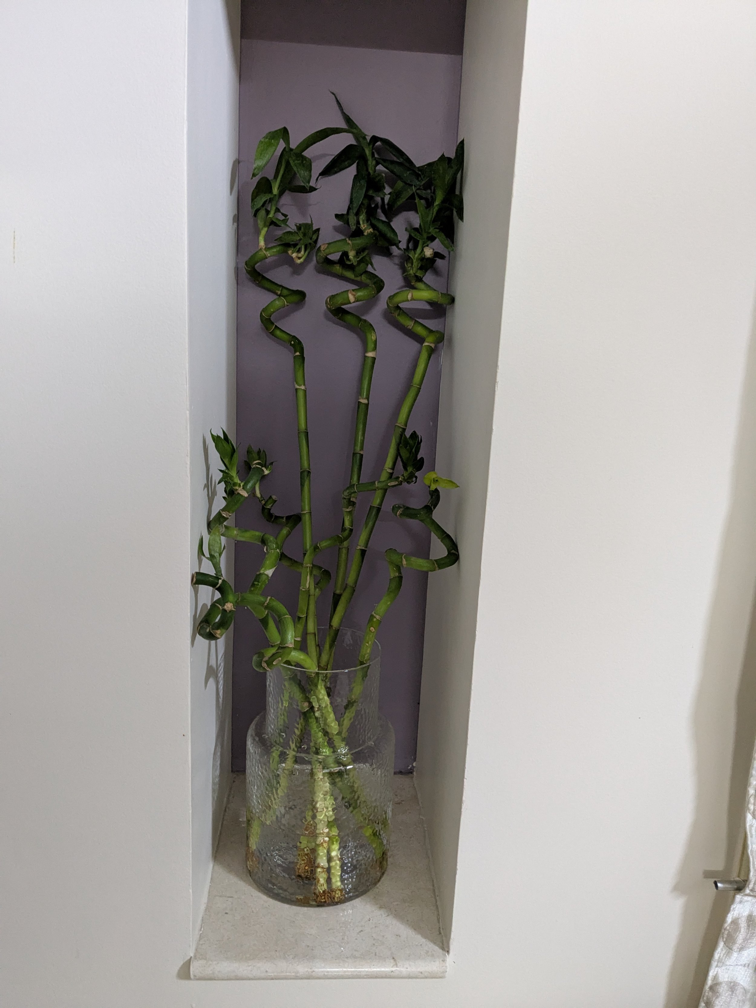 PXL_20250506_142601774.jpg