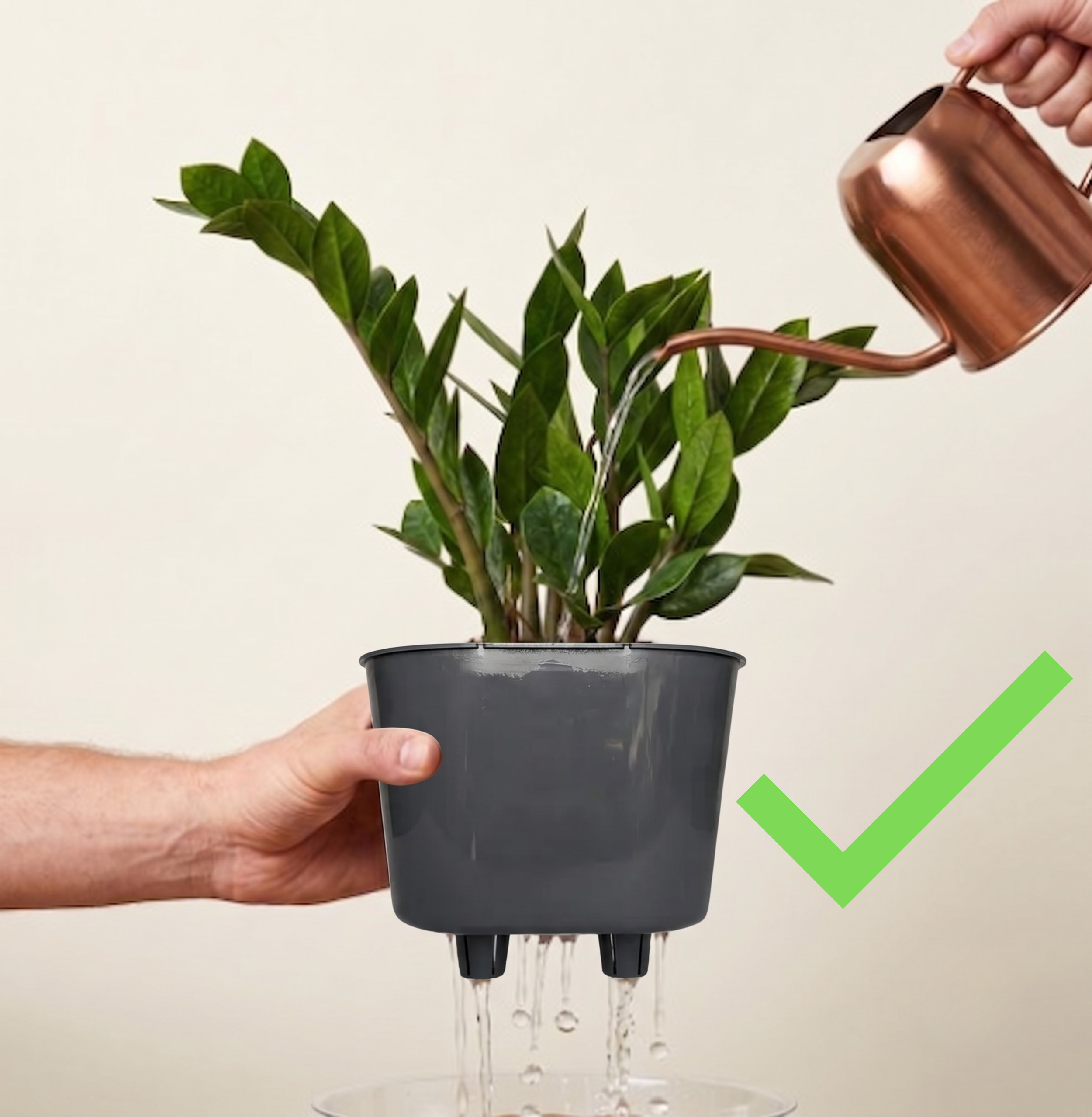 A person holding a black pot with green leafy plant, bronze watering can pouring water on the plant, water spilling over pot and dripping down.