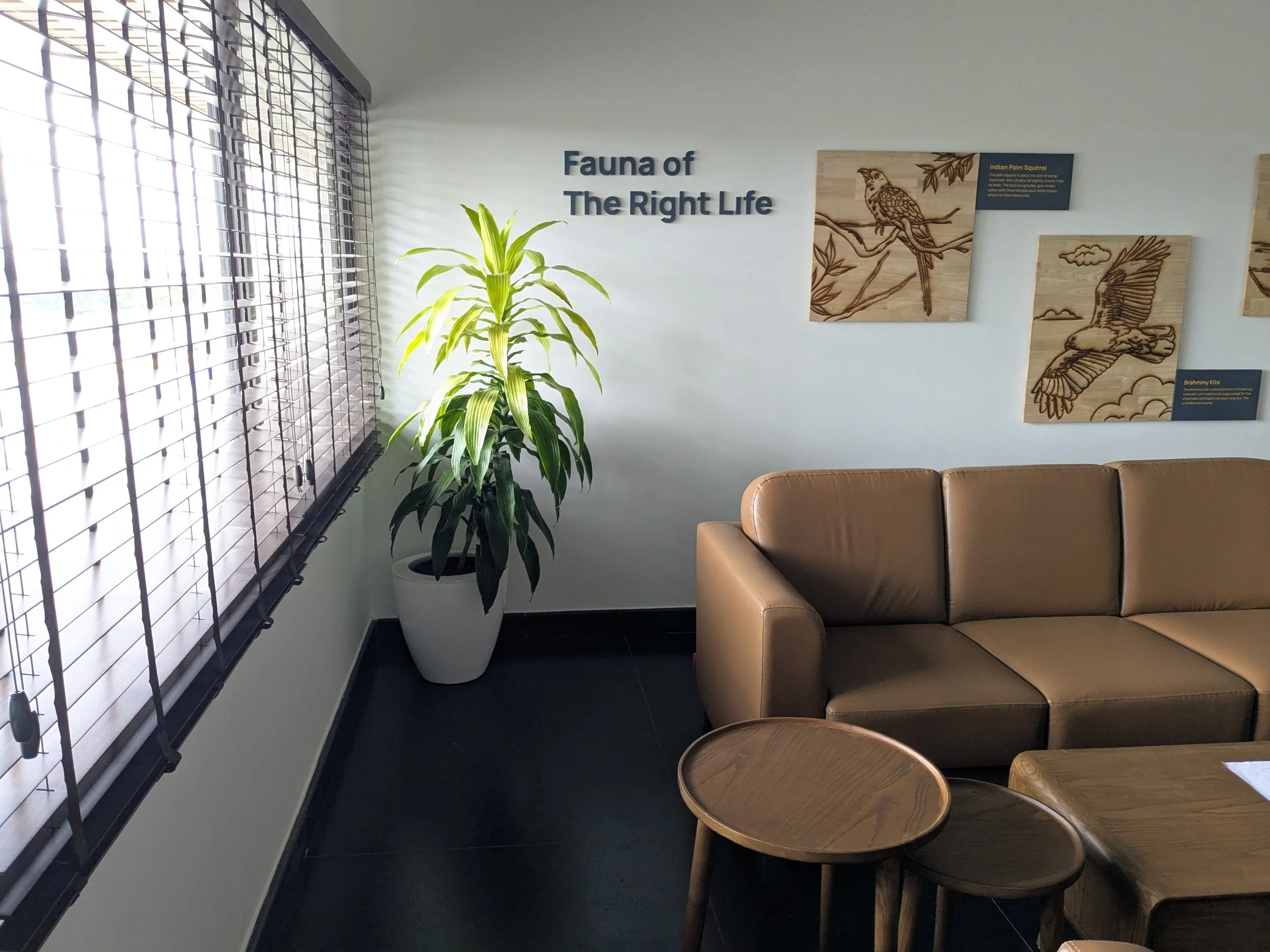 PXL_20250924_073024648.jpg
