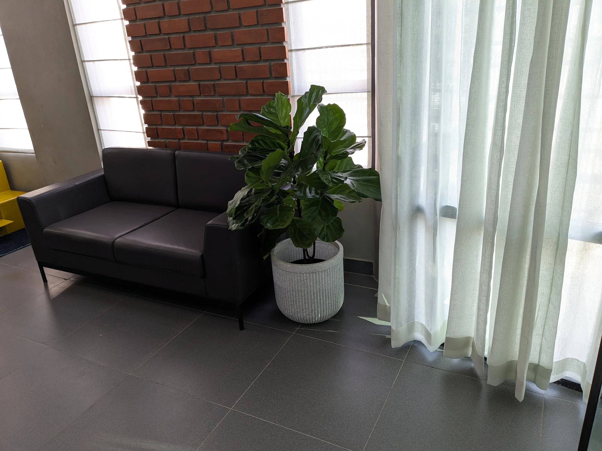PXL_20240330_110202884.jpg
