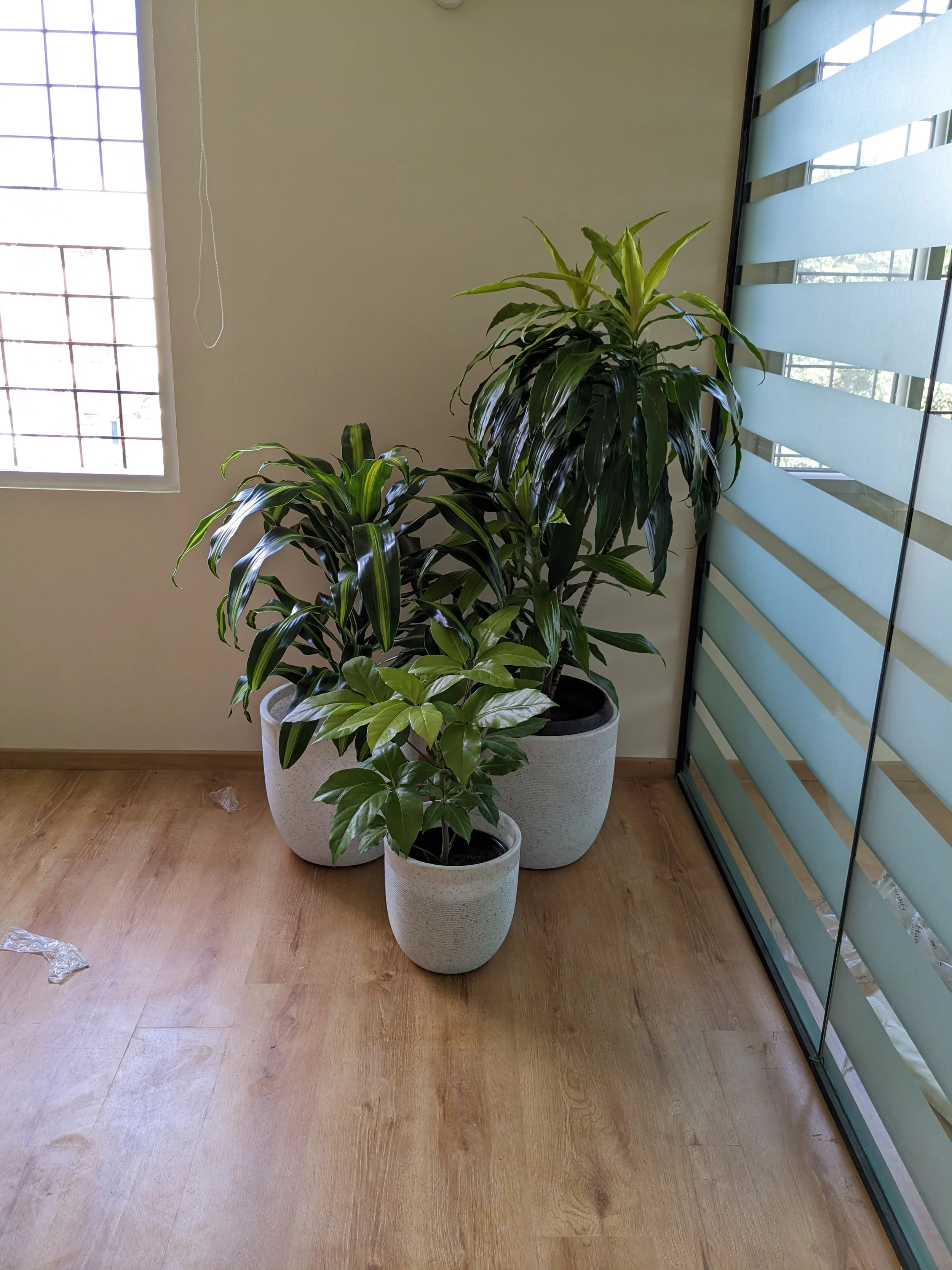 PXL_20230815_105855744.jpg