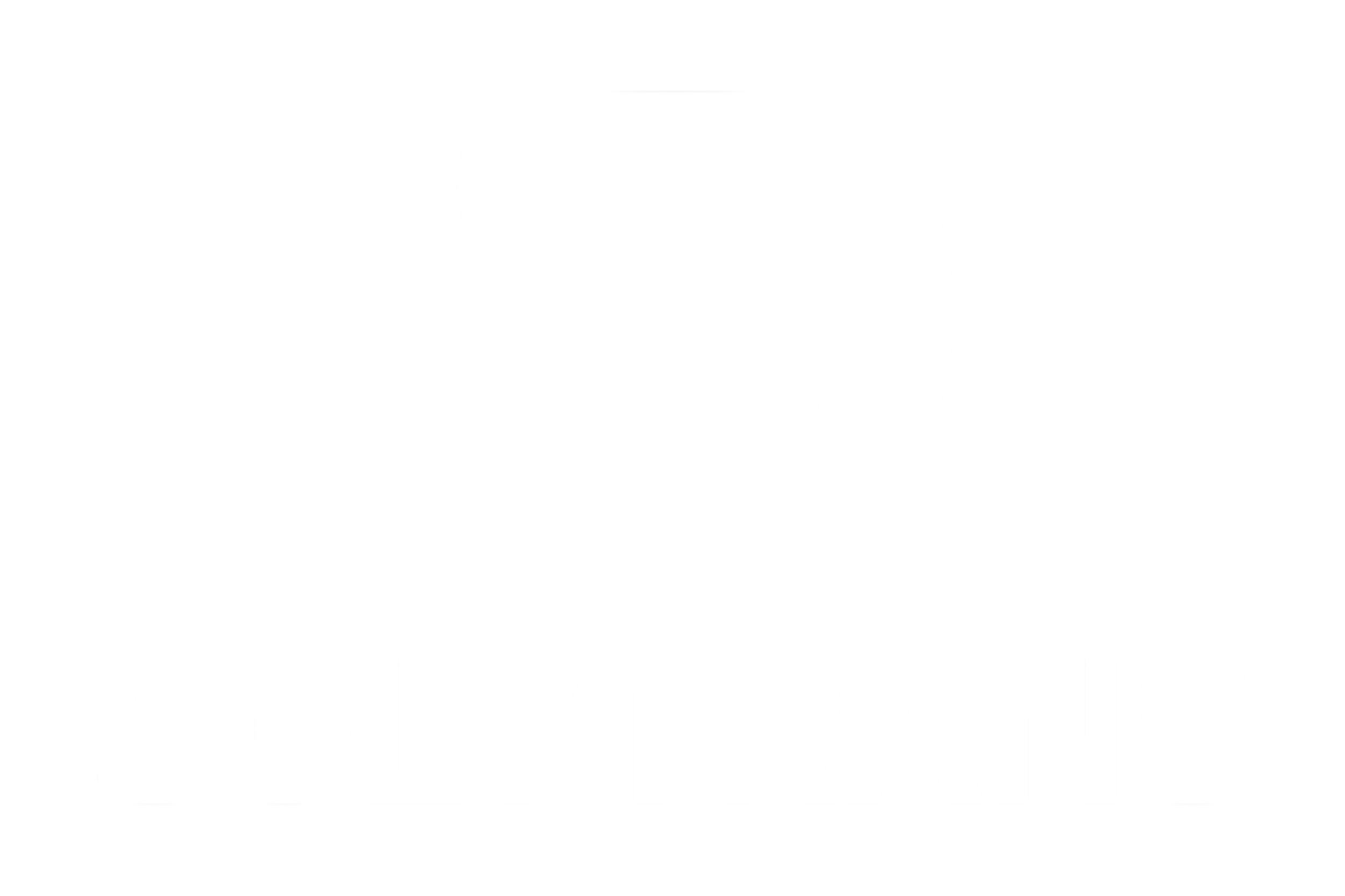 Sølvtrans logo