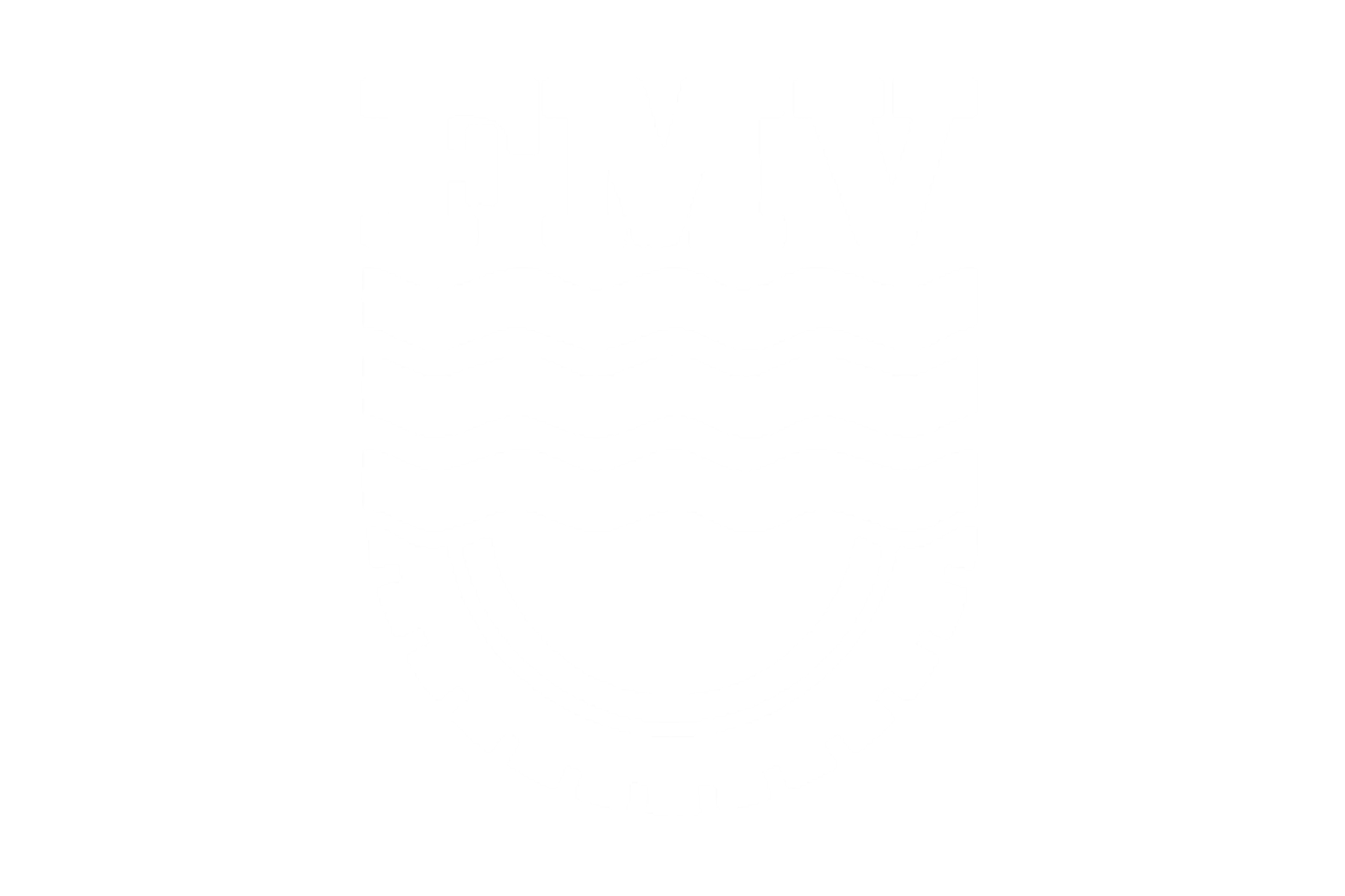 FMV fitjar mekaniske verksted logo