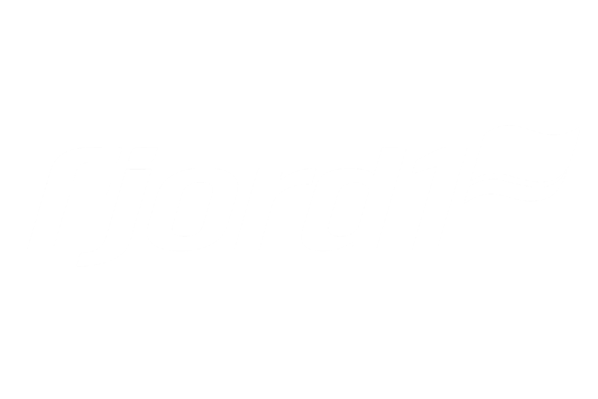 Fjord1 logo
