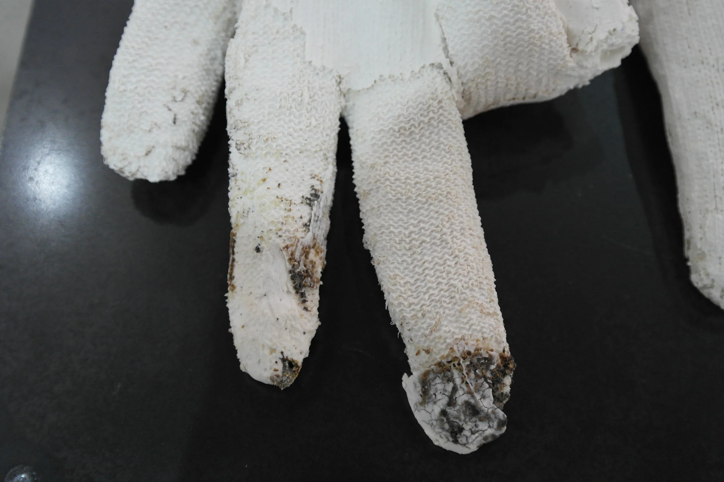sculptures-gants-3.jpg