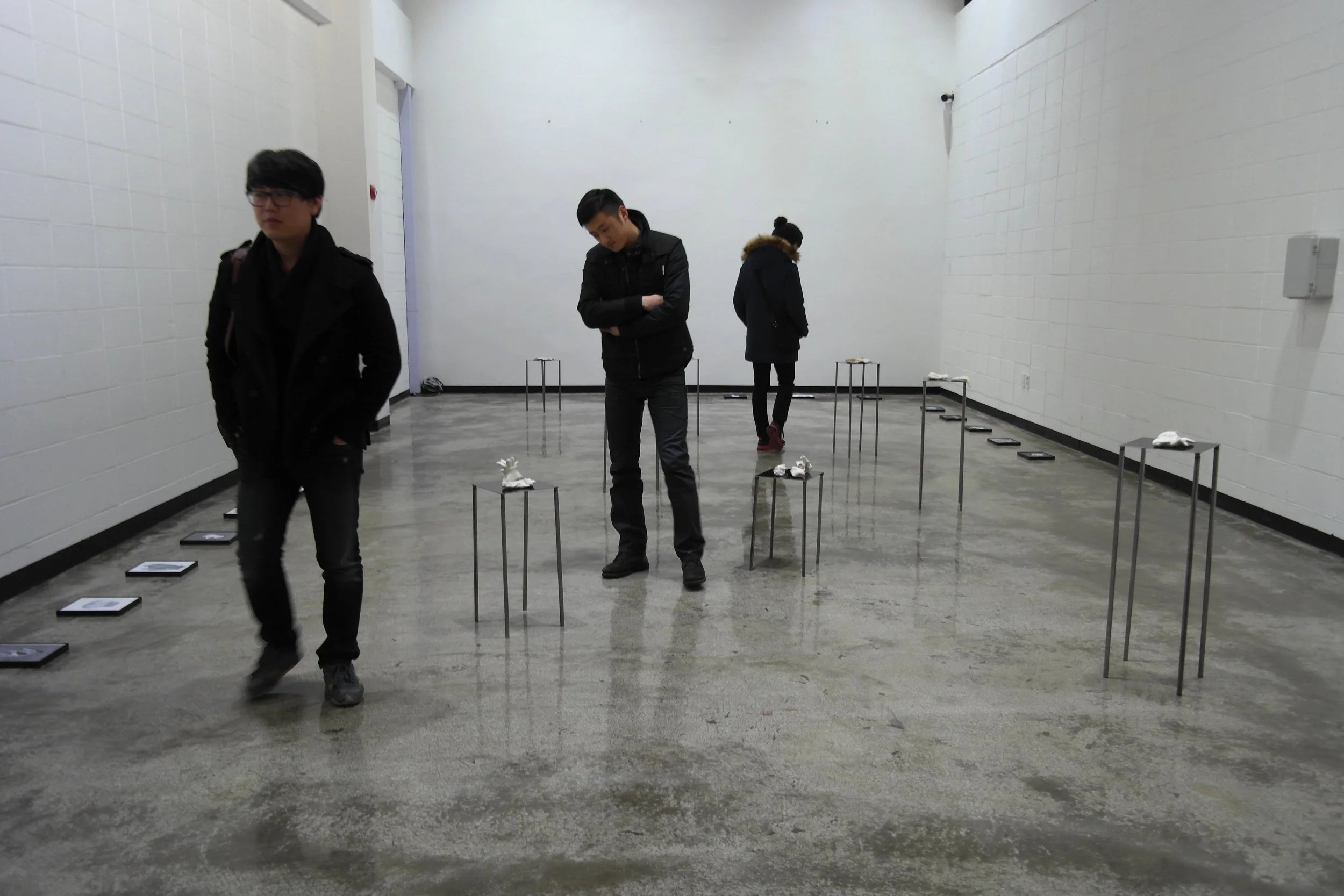 expo-hong-ti.JPG