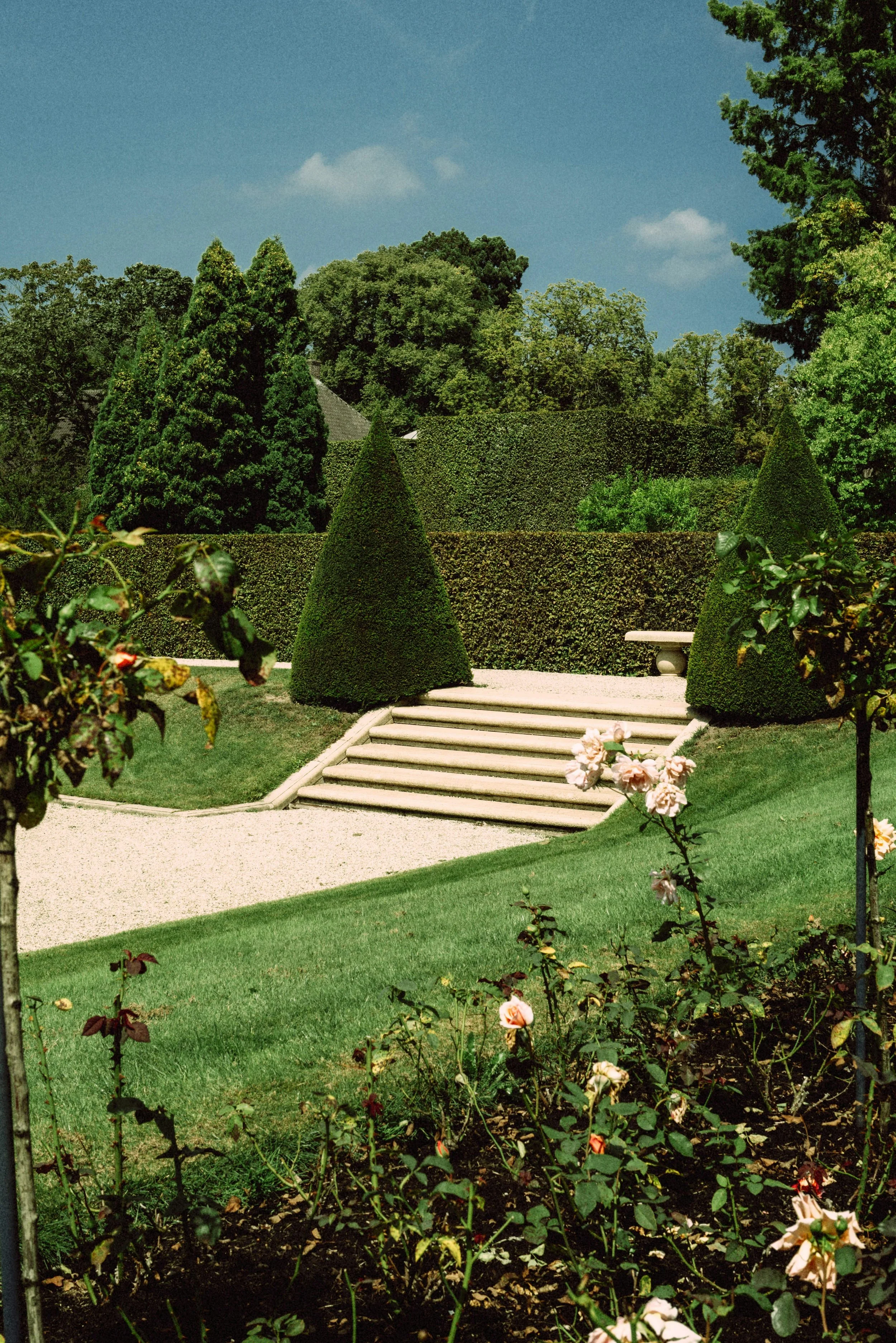 Elegant landscaped garden with manicured hedges, topiary trees, stone steps, and roses, section 02: Landscaping & Design services.