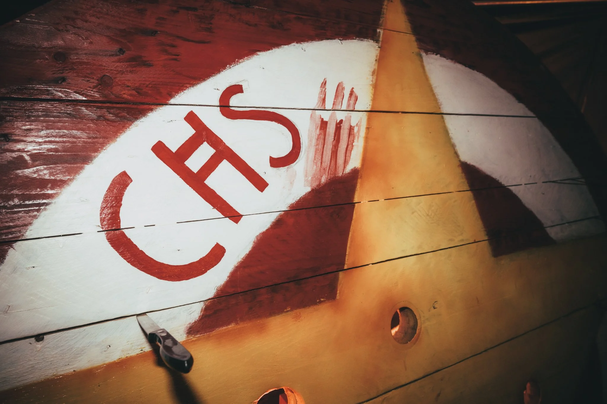 CHS_Halloween-1.jpg